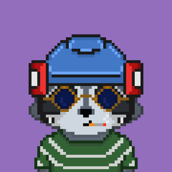 Image of Pixel Raccoon #2104