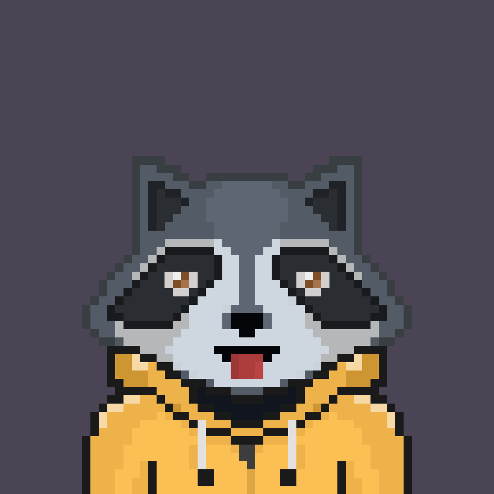 Pixel Raccoon #211 NFT on Algorand