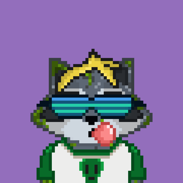 An image of Pixel Raccoon #2119