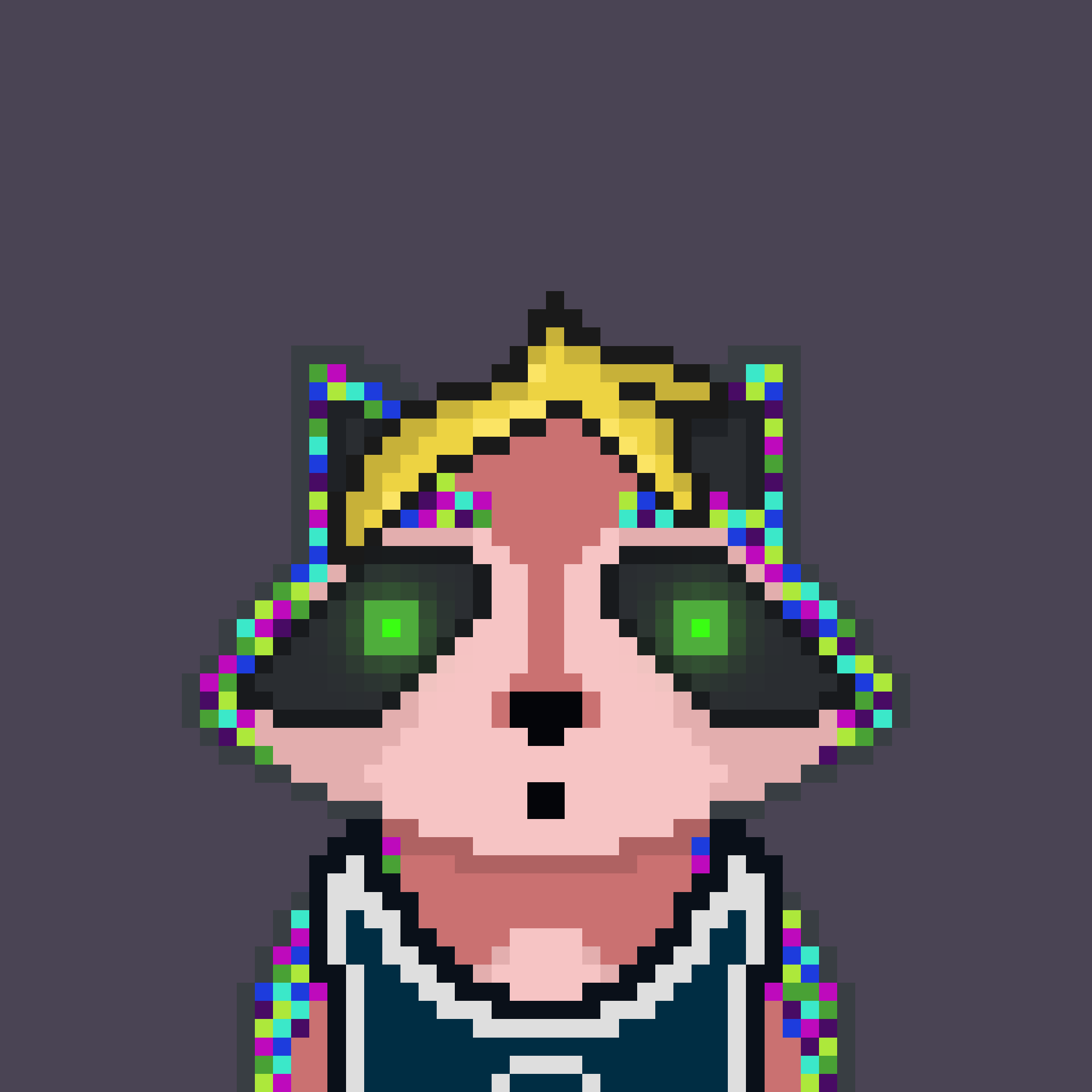 Pixel Raccoon #2152 NFT on Algorand