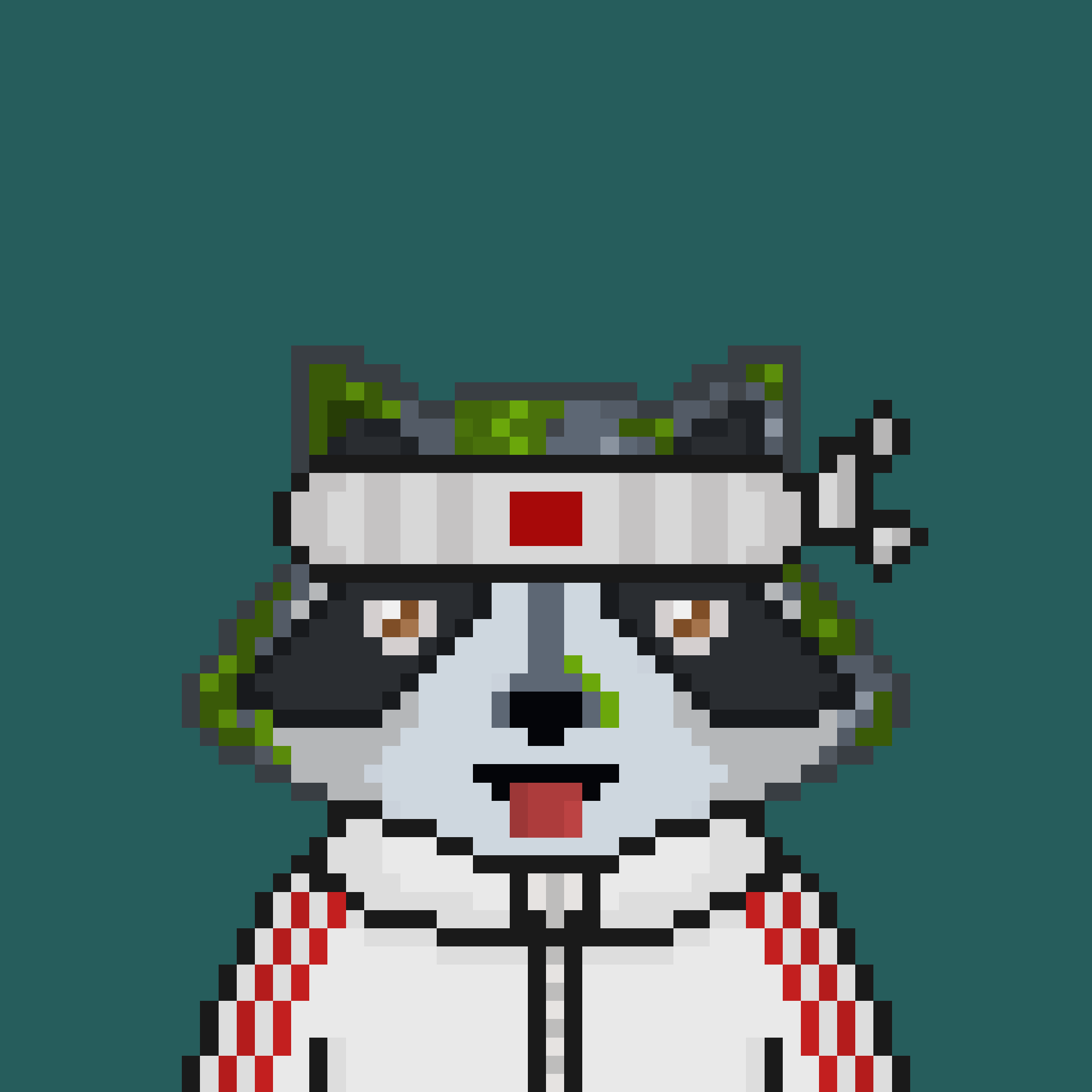 Pixel Raccoon #216 NFT on Algorand