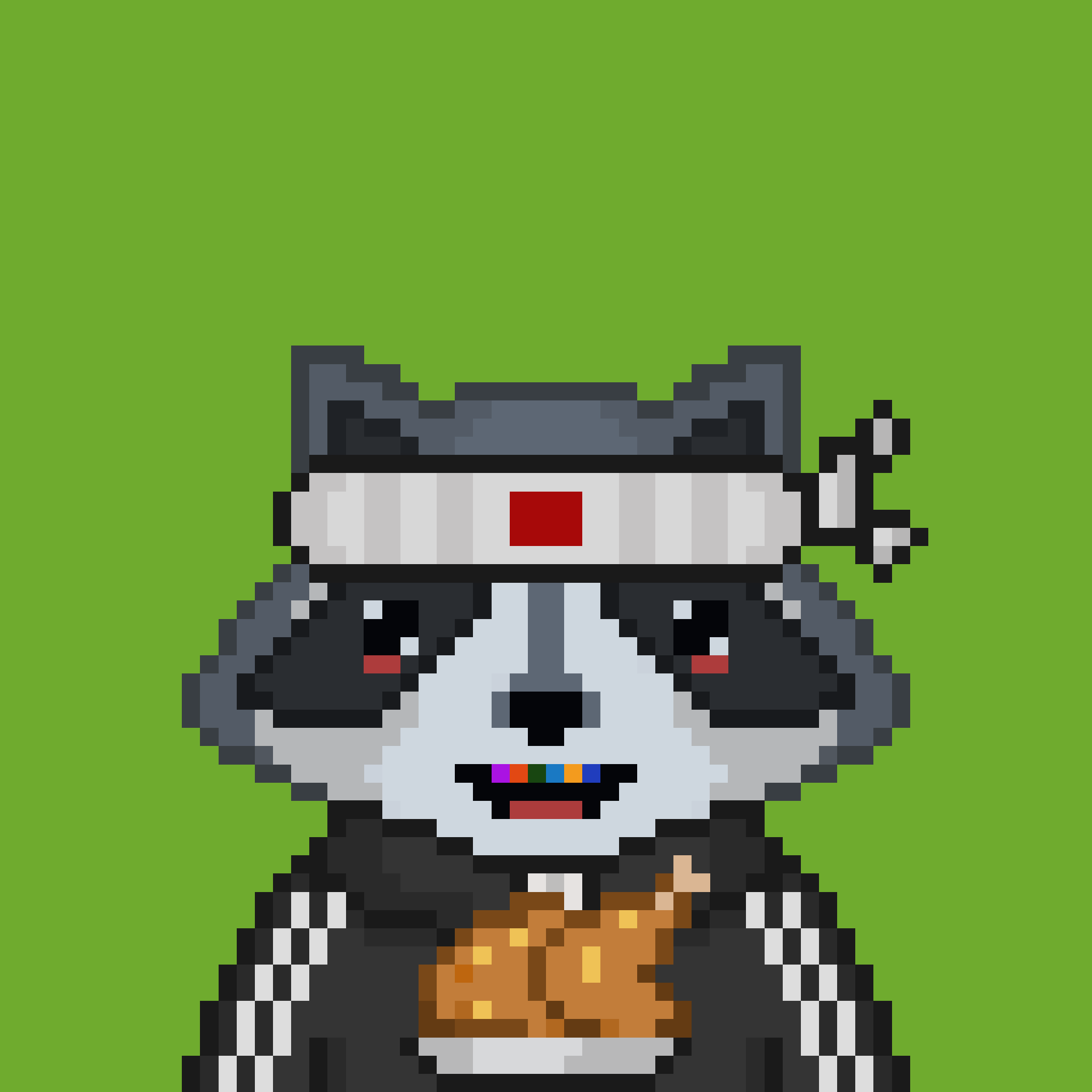 Pixel Raccoon #22 NFT on Algorand