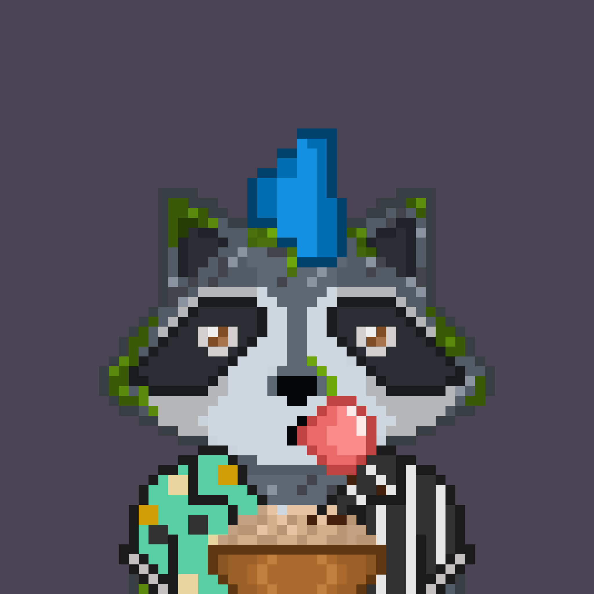 Pixel Raccoon #2211 NFT on Algorand