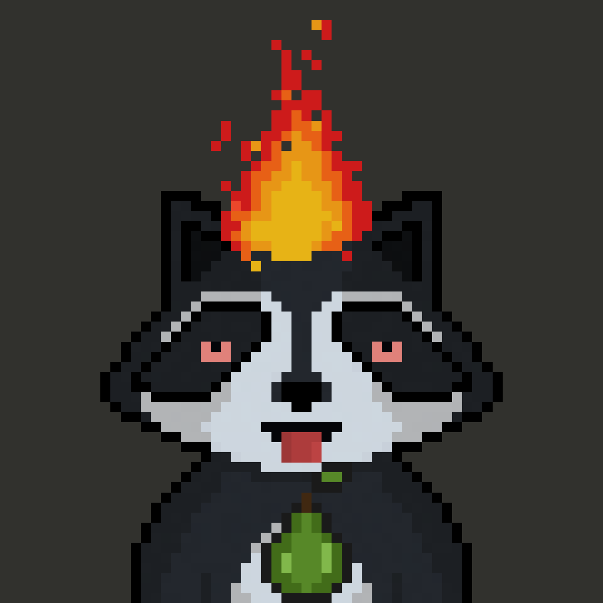 Pixel Raccoon #2212 NFT on Algorand