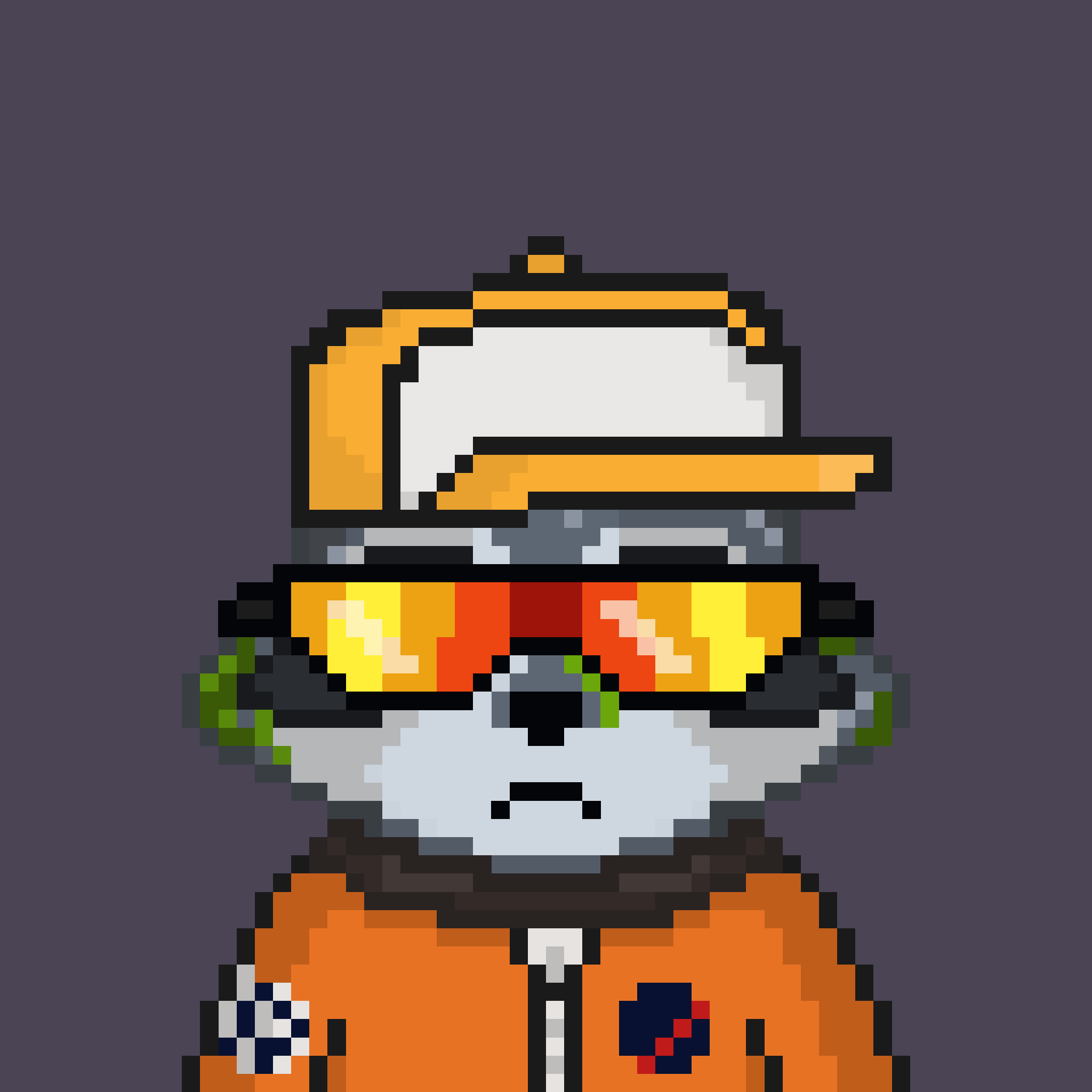 Pixel Raccoon #2217 NFT on Algorand