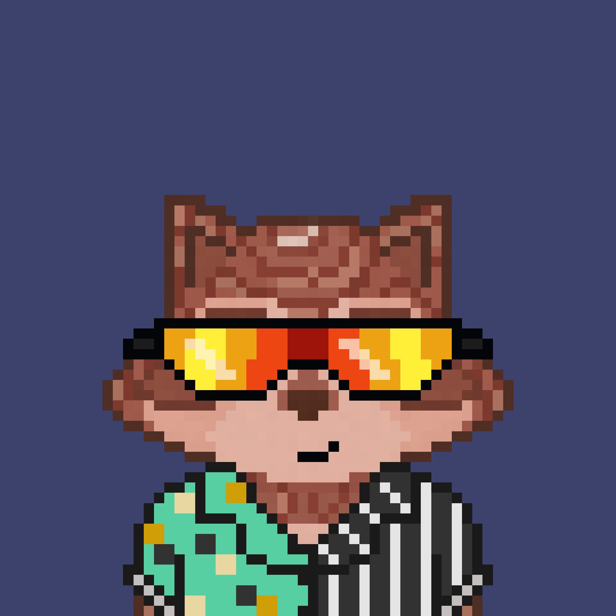 Pixel Raccoon #2218 NFT on Algorand
