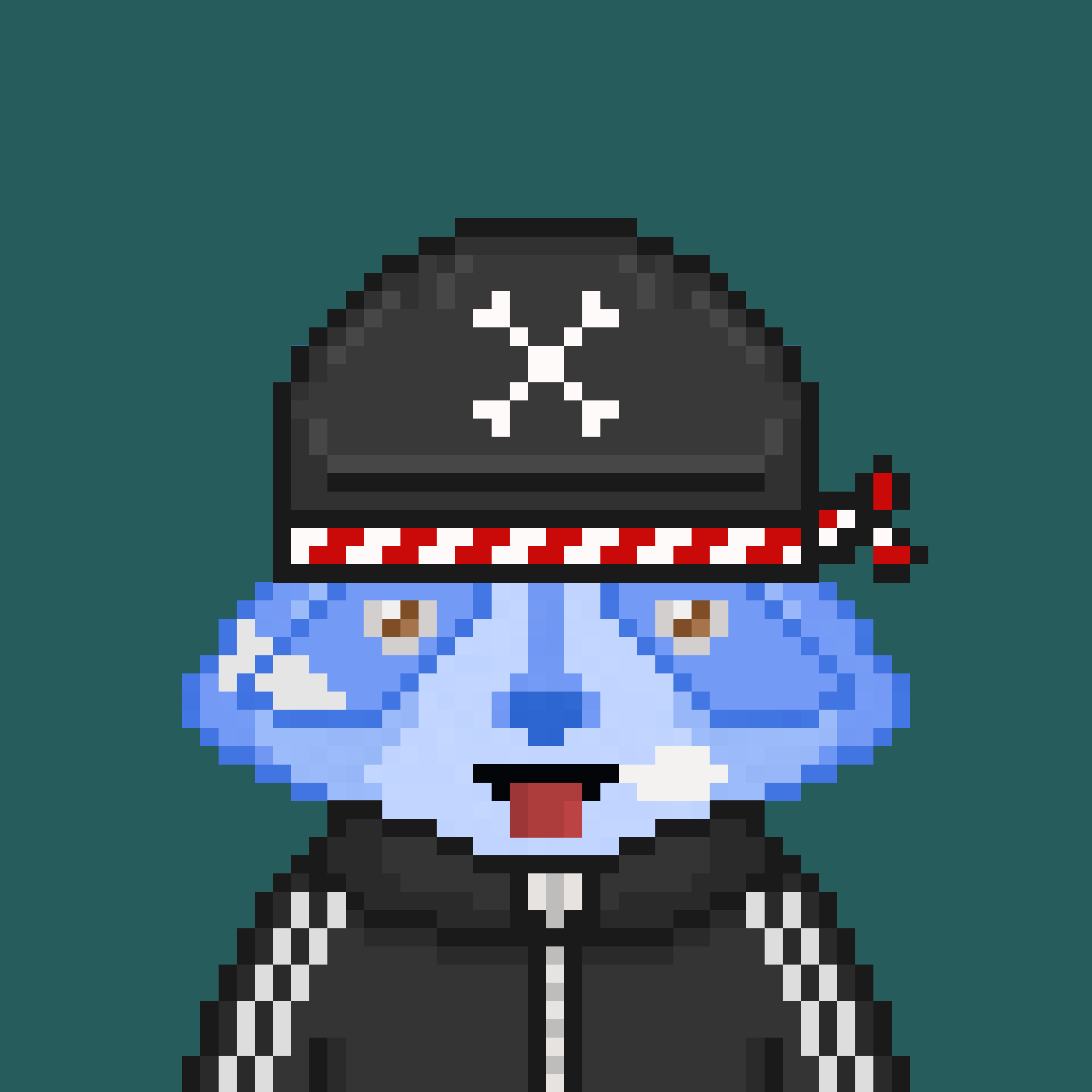 Pixel Raccoon #2222 NFT on Algorand