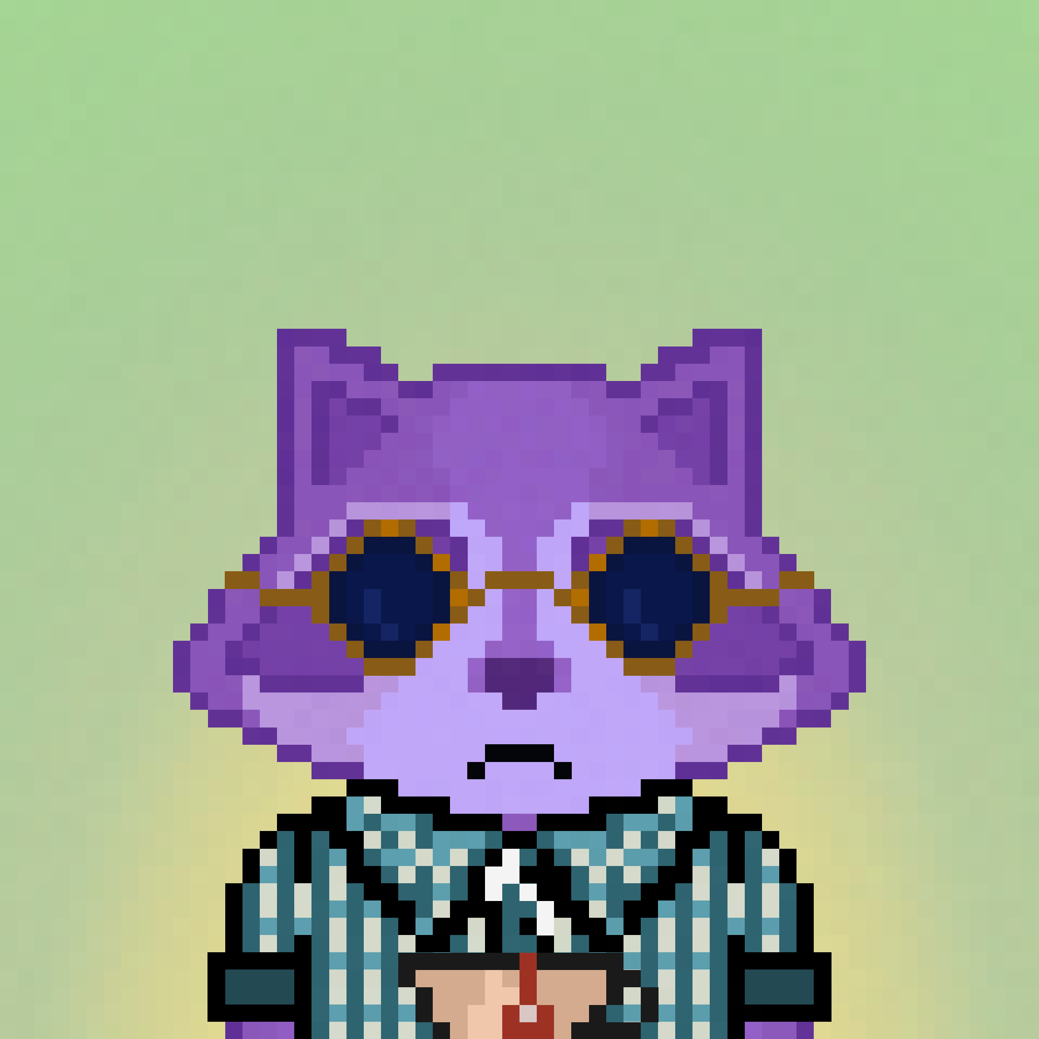 Pixel Raccoon #224 NFT on Algorand