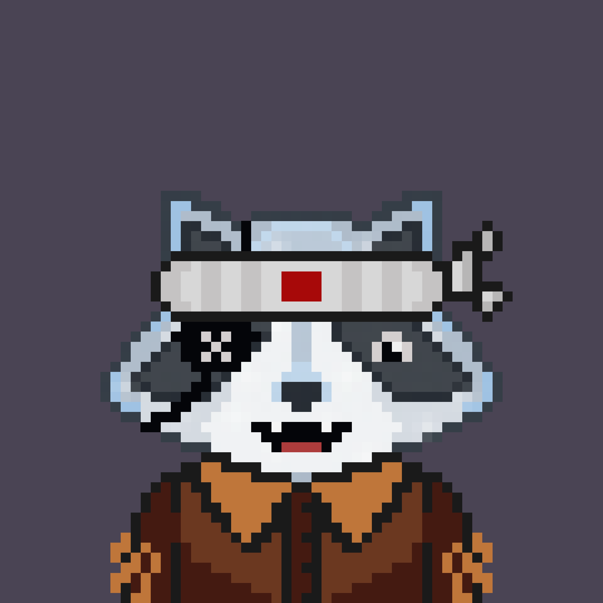 Pixel Raccoon #2286 NFT on Algorand