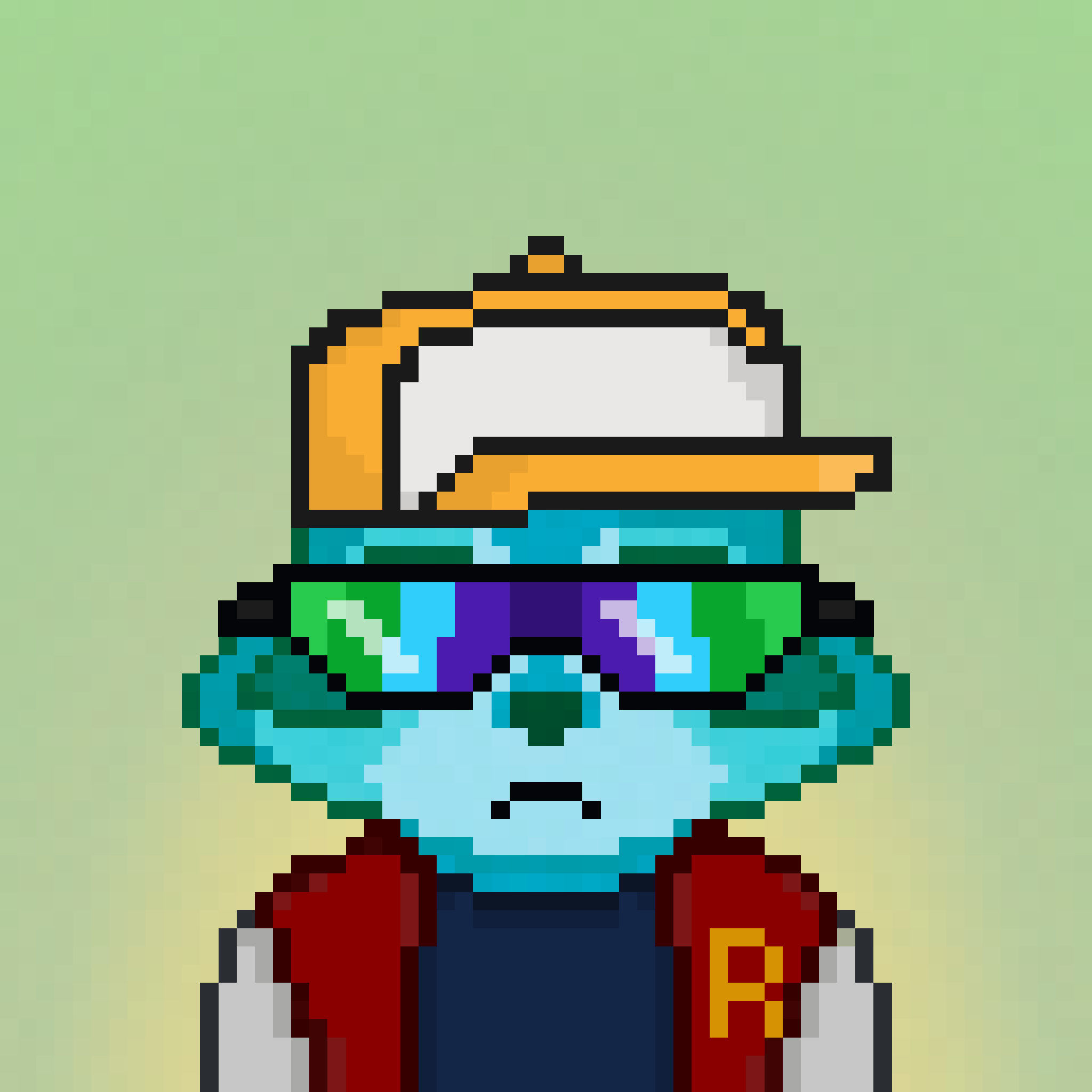 Pixel Raccoon #229 NFT on Algorand