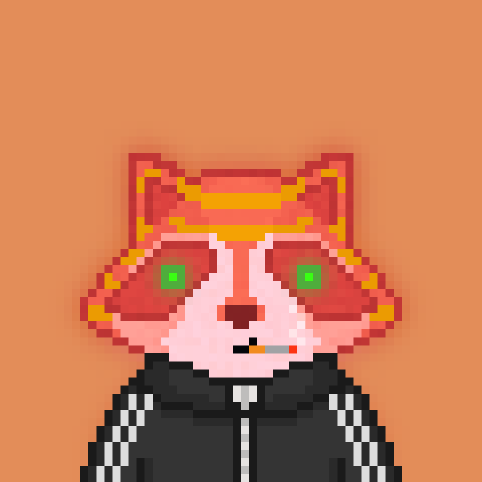 Pixel Raccoon #2293 NFT on Algorand
