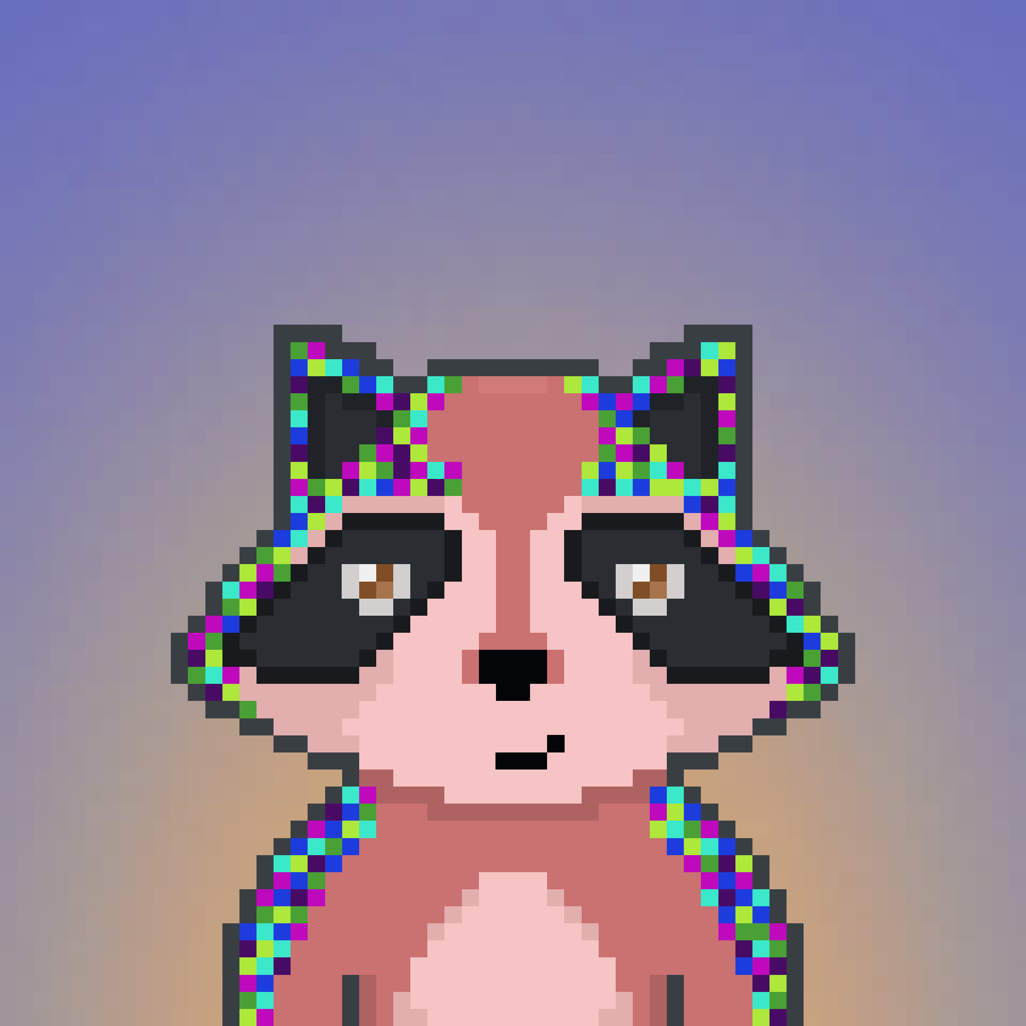 Pixel Raccoon #2303 NFT on Algorand