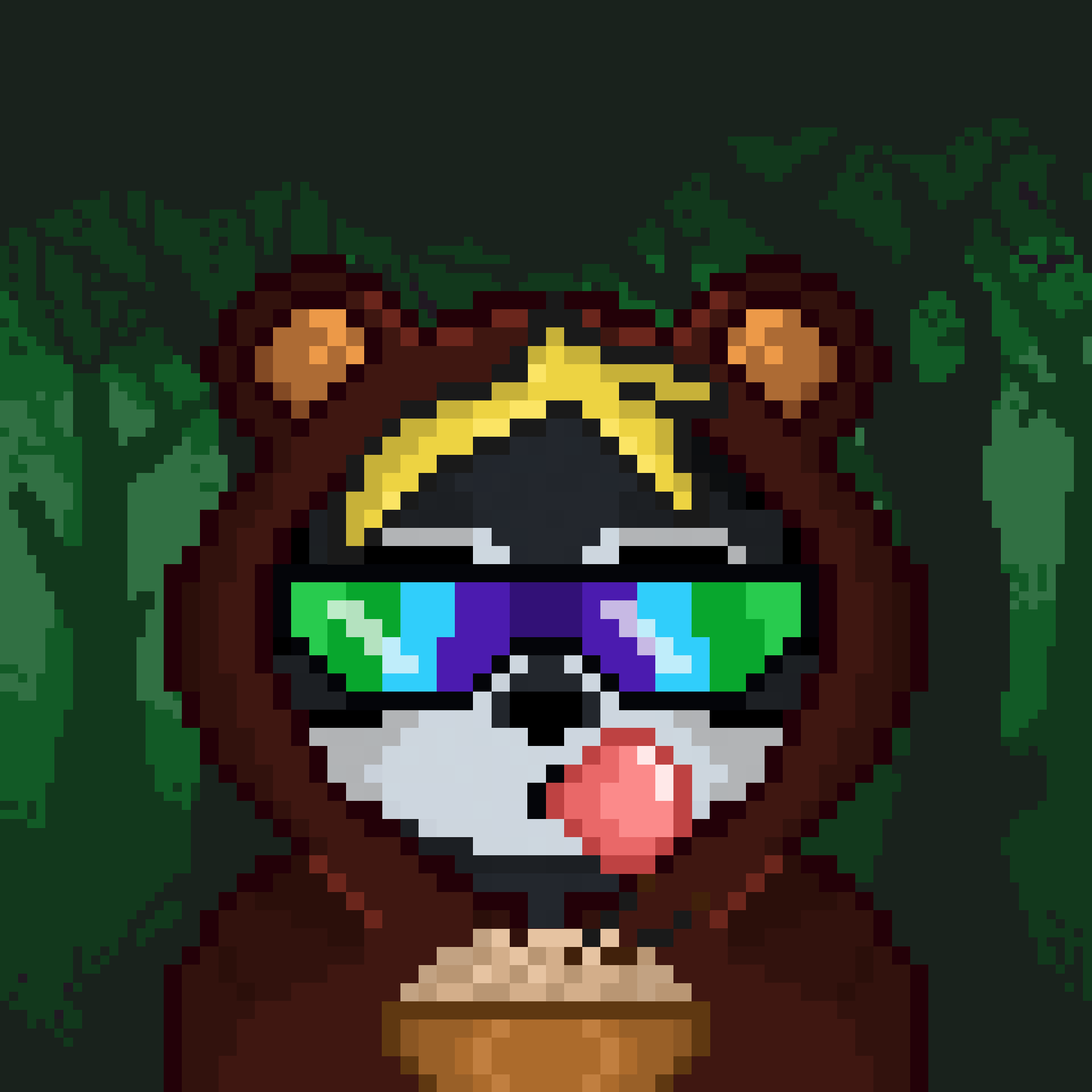 Pixel Raccoon #2307 NFT on Algorand