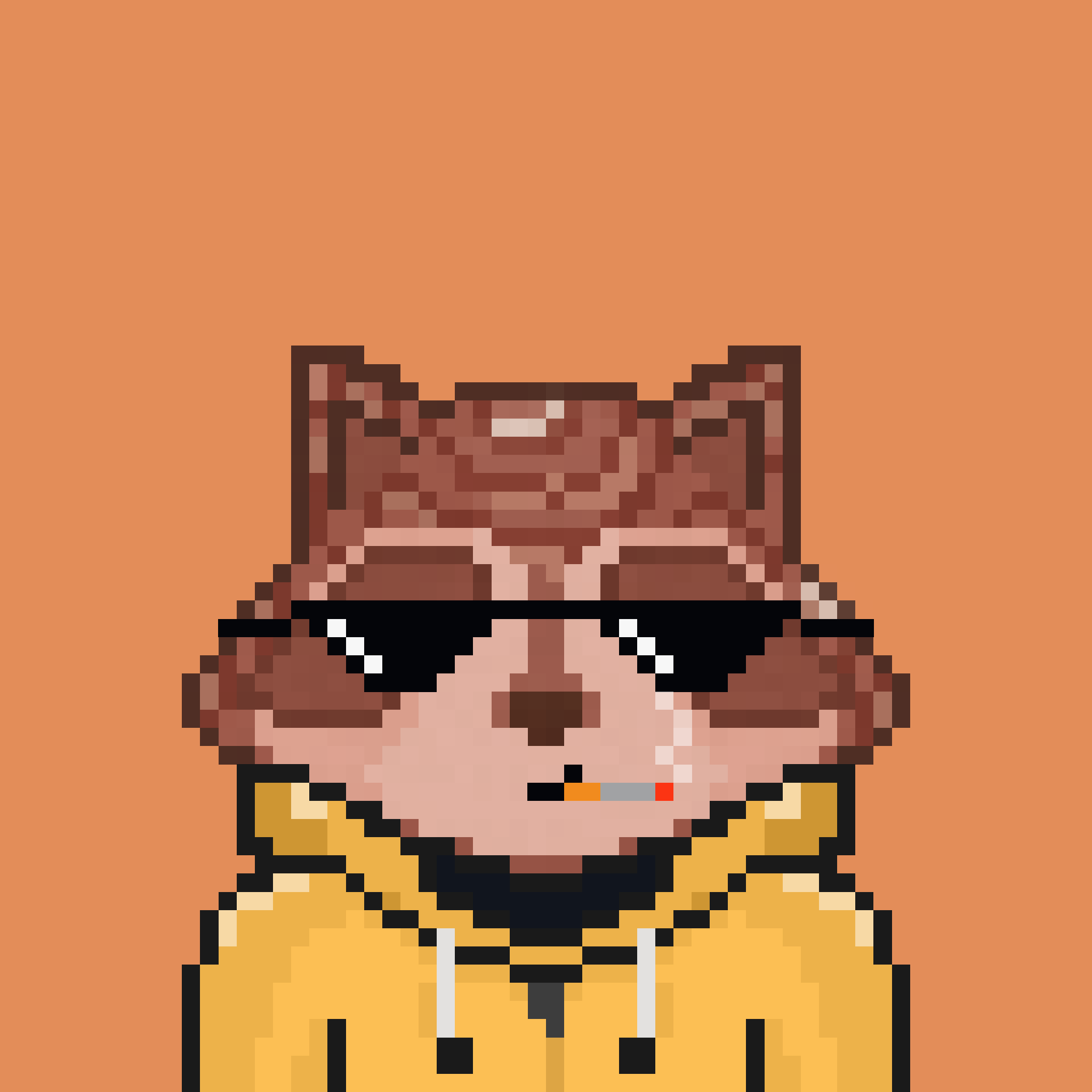 Pixel Raccoon #2324 NFT on Algorand