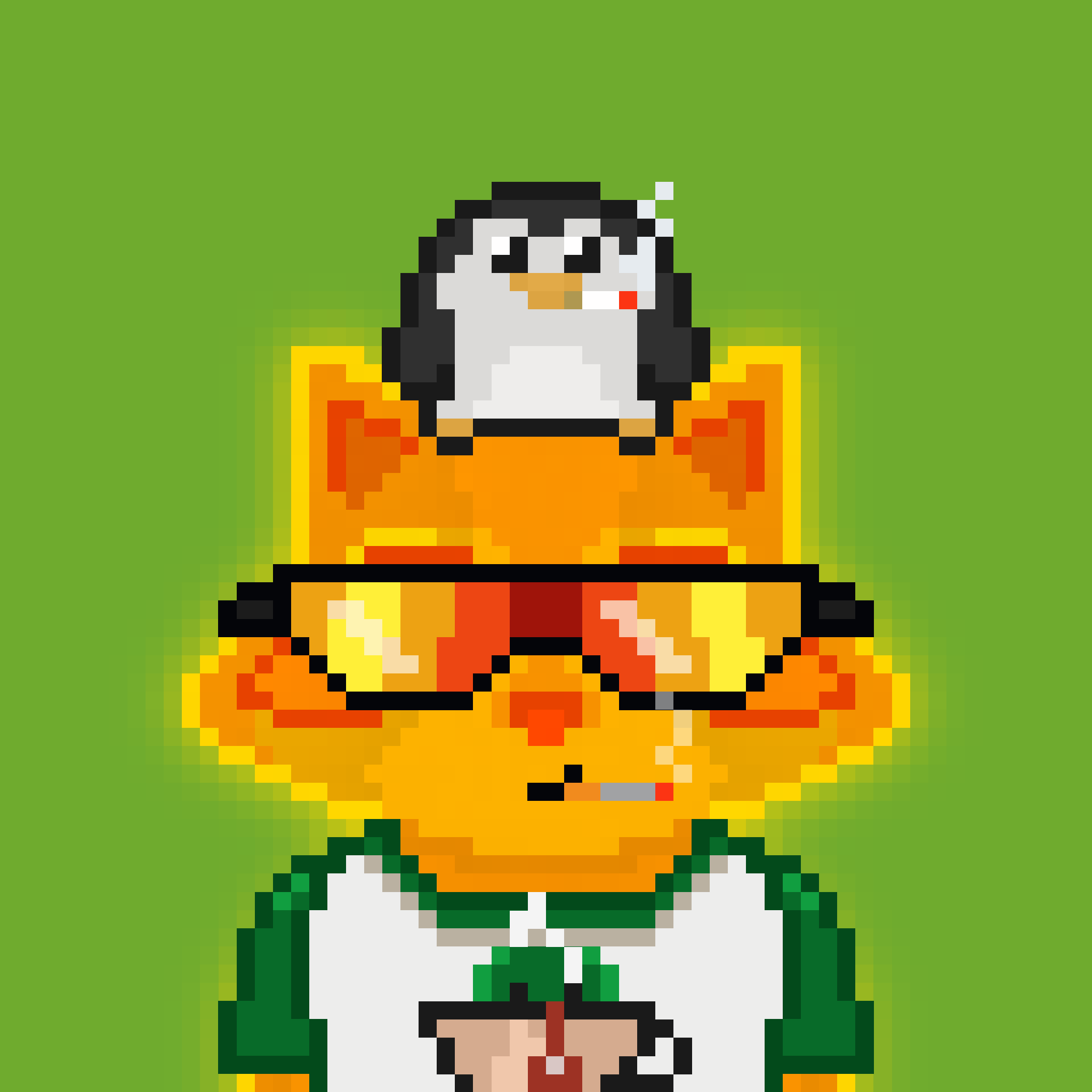 Pixel Raccoon #2330 NFT on Algorand