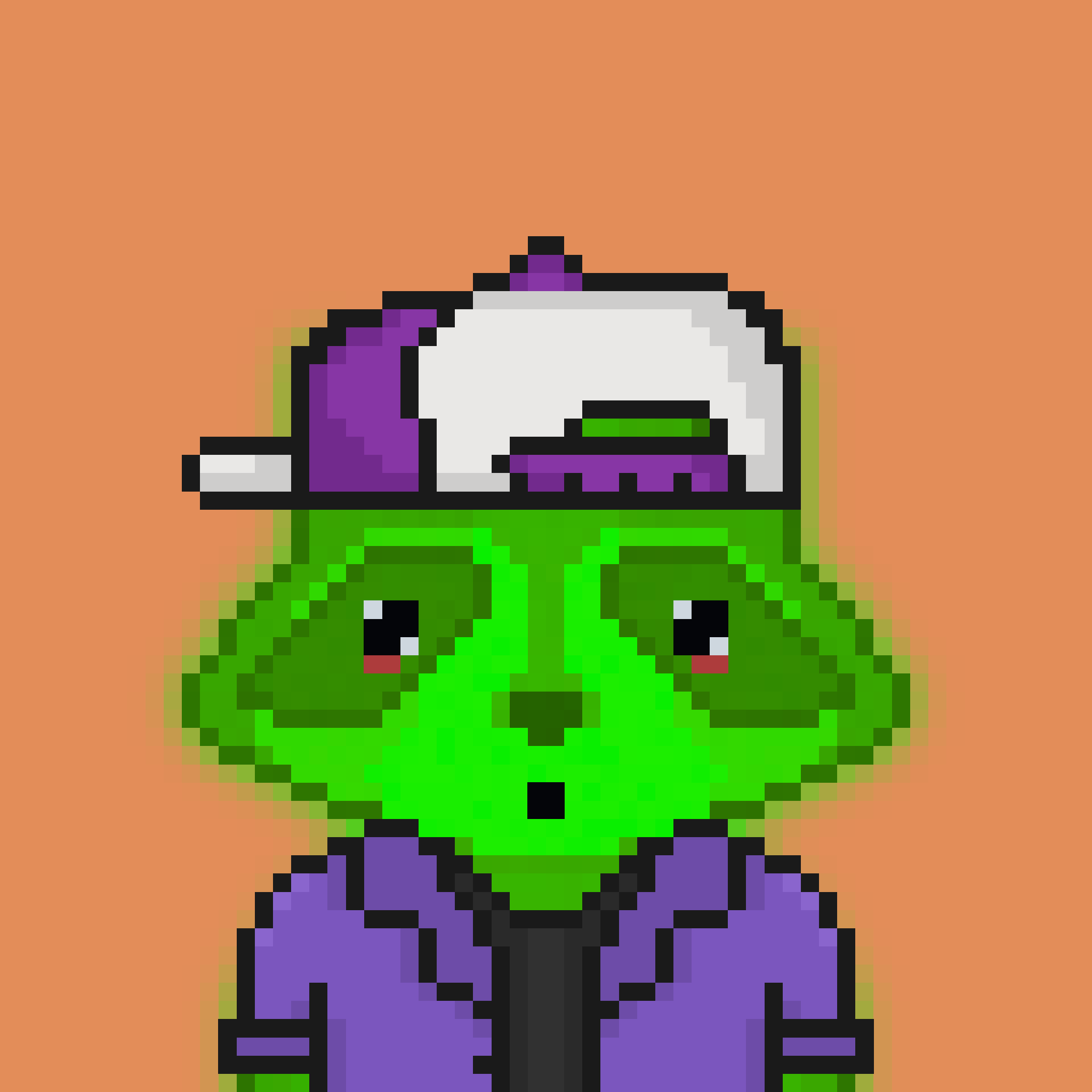 Pixel Raccoon #2340 NFT on Algorand