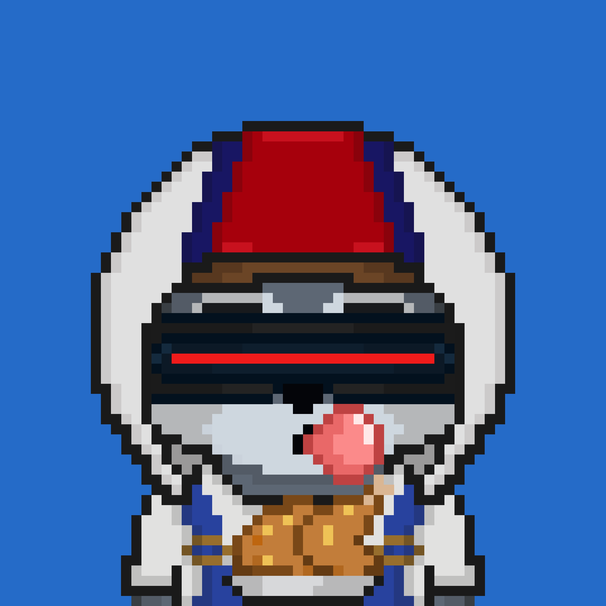 Pixel Raccoon #237 NFT on Algorand