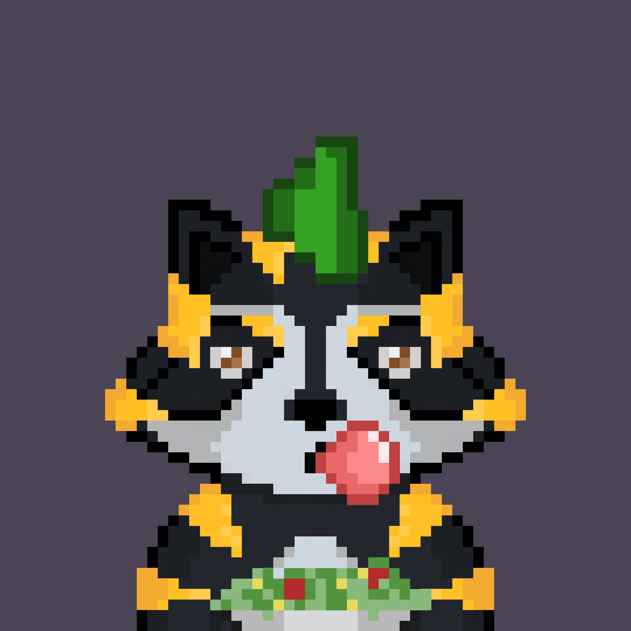 Pixel Raccoon #2371 NFT on Algorand