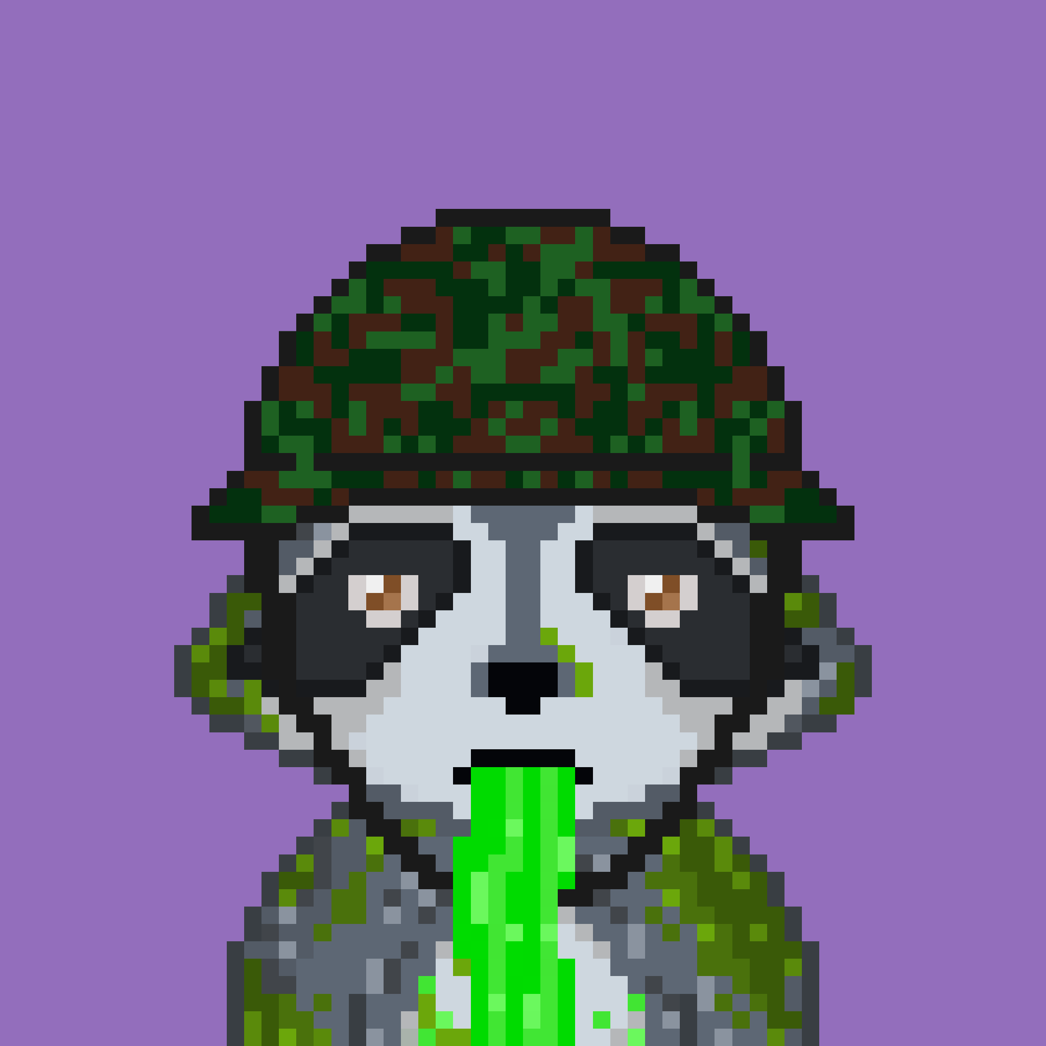 Pixel Raccoon #2379 NFT on Algorand