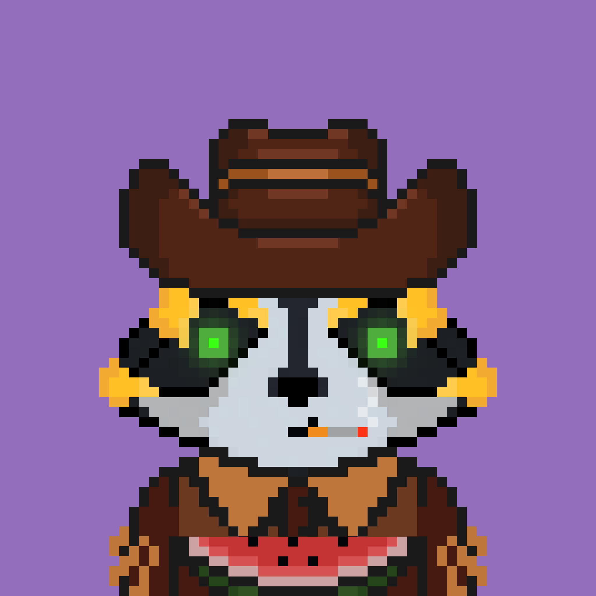 Pixel Raccoon #2393 NFT on Algorand