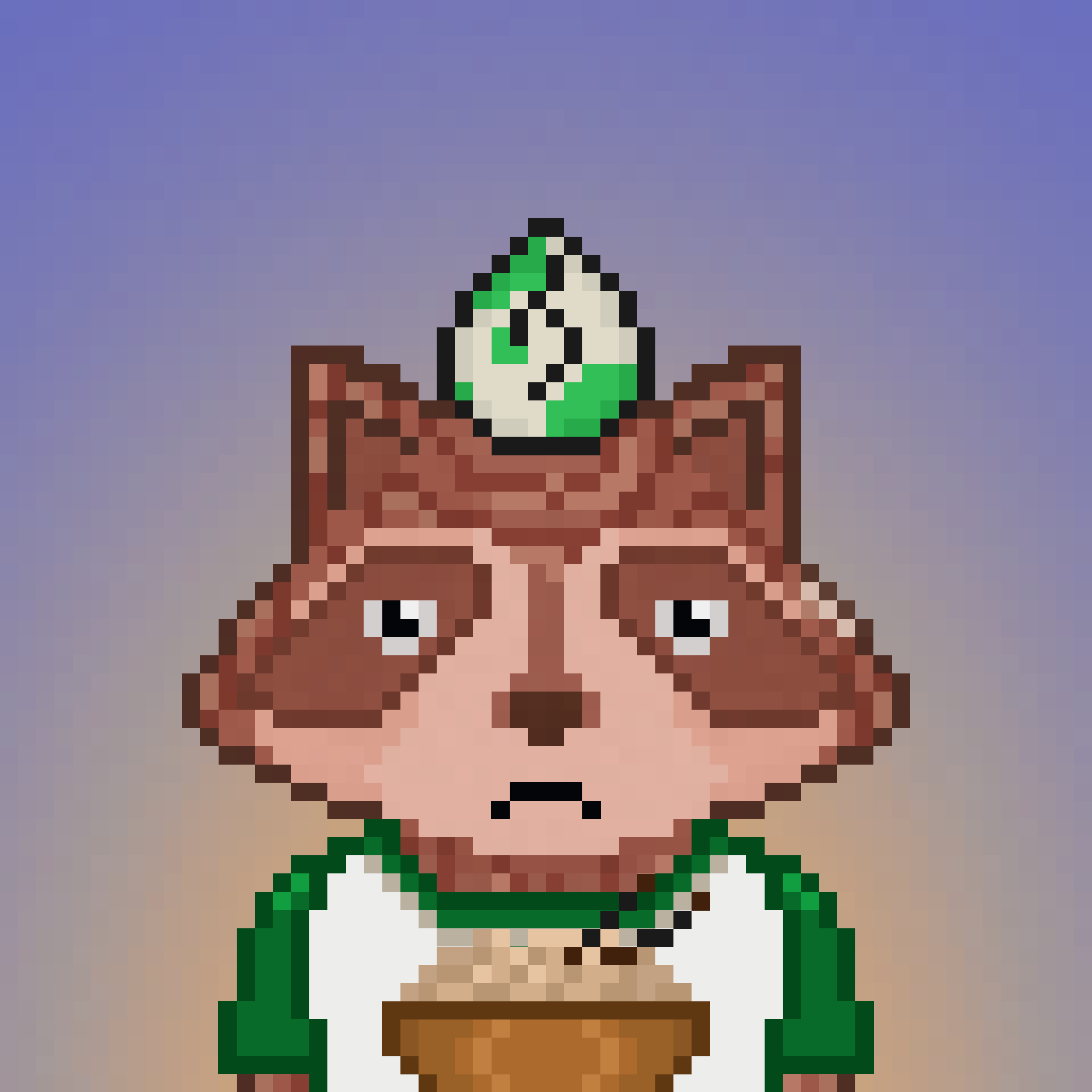 Pixel Raccoon #241 NFT on Algorand