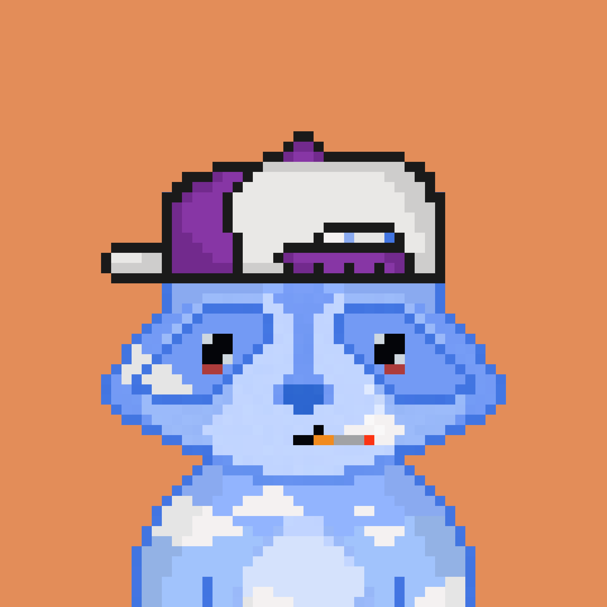 Pixel Raccoon #245 NFT on Algorand