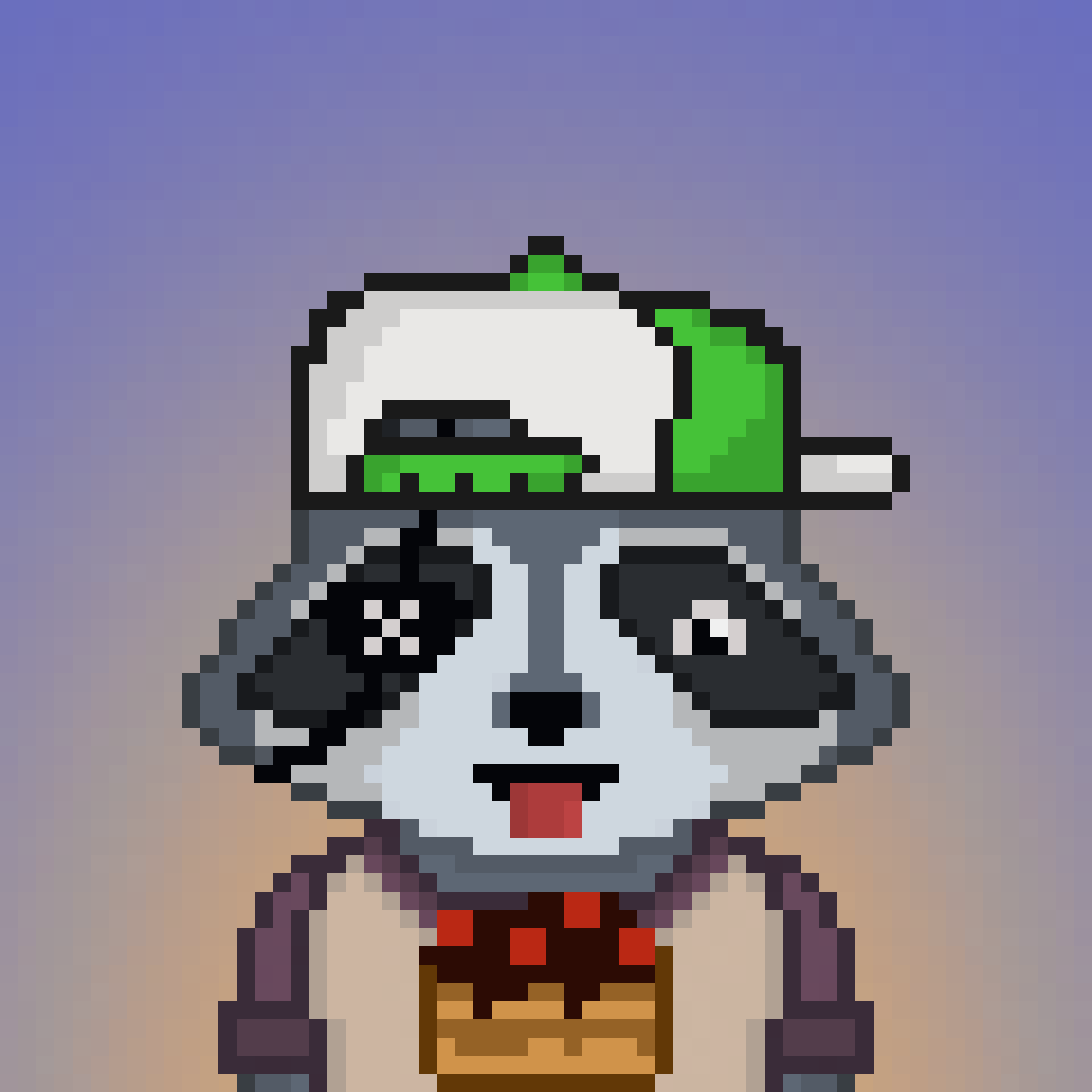 Pixel Raccoon #249 NFT on Algorand
