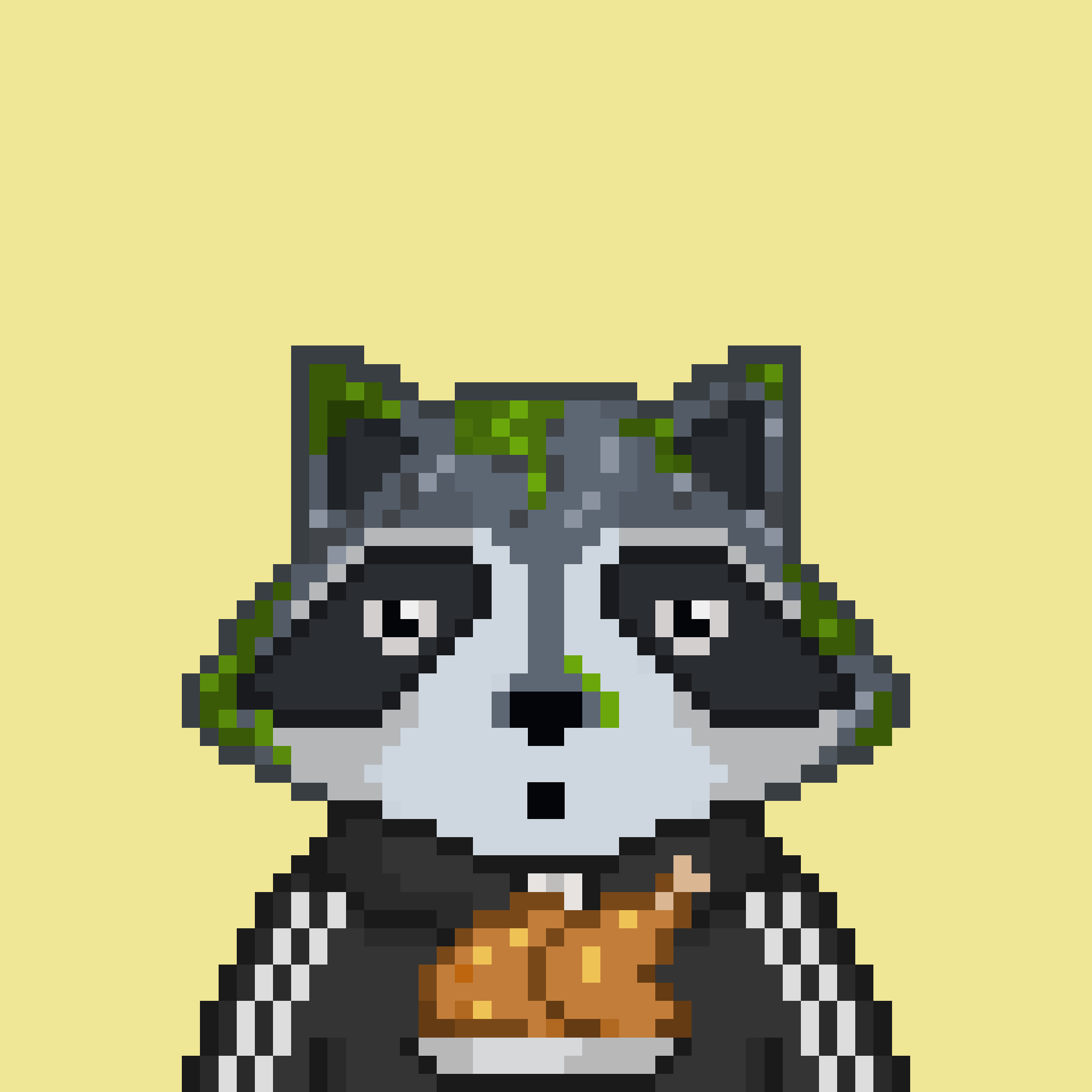 Pixel Raccoon #2492 NFT on Algorand