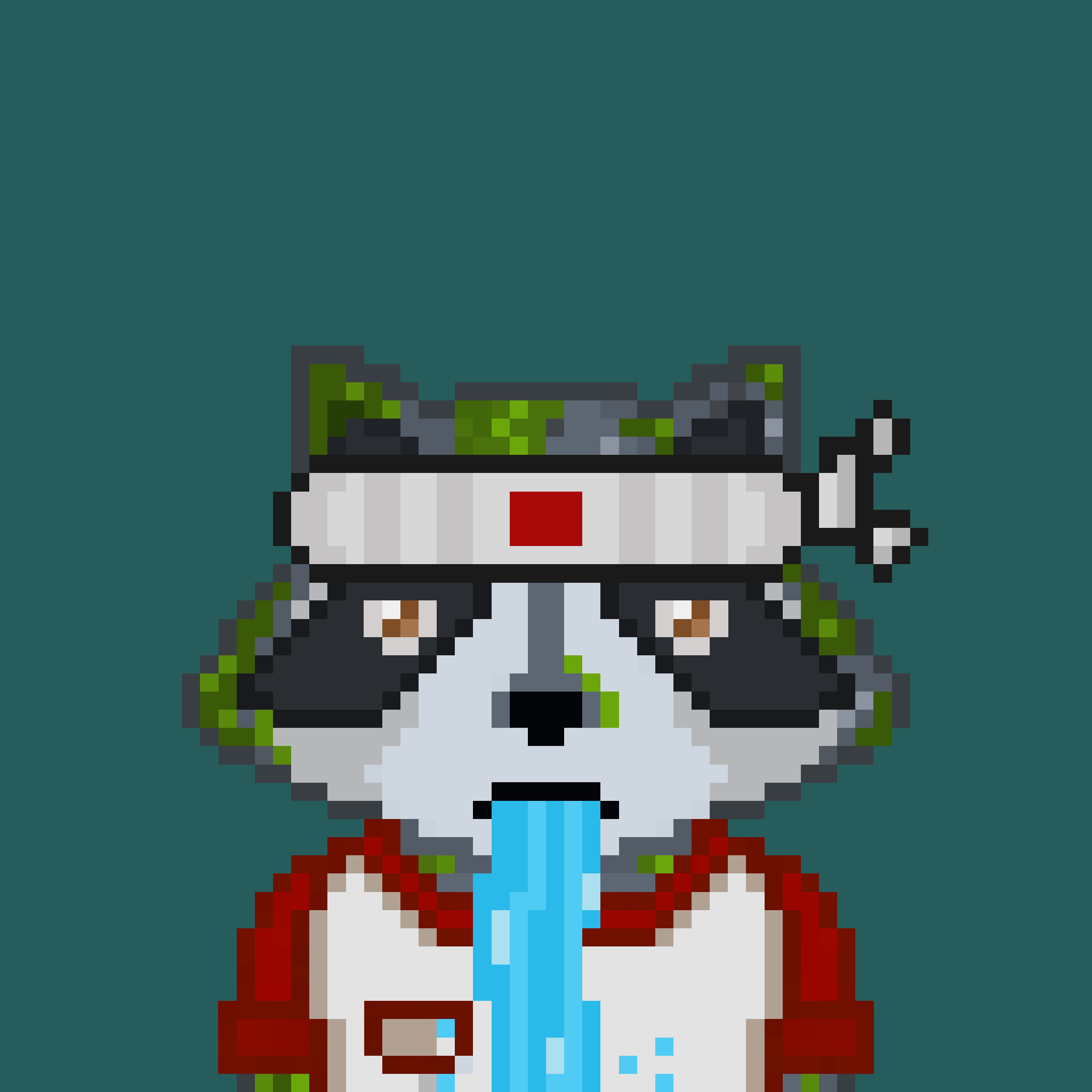 Pixel Raccoon #25 NFT on Algorand