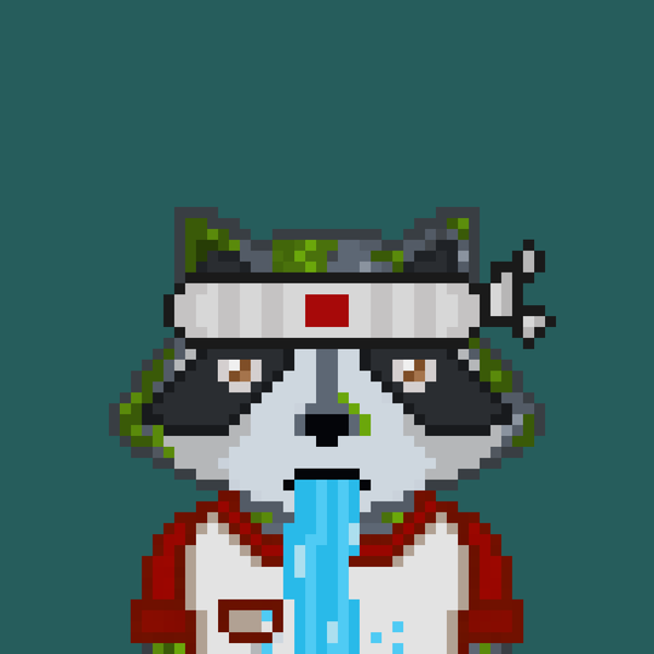 An image of Pixel Raccoon #25