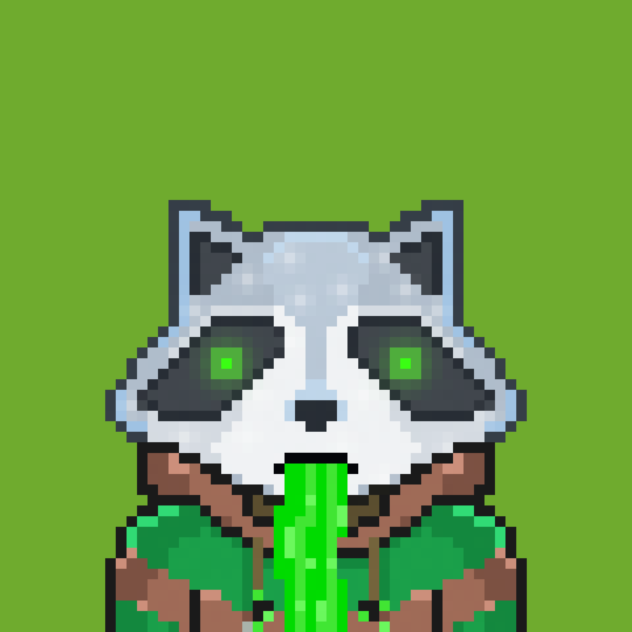Pixel Raccoon #252 NFT on Algorand