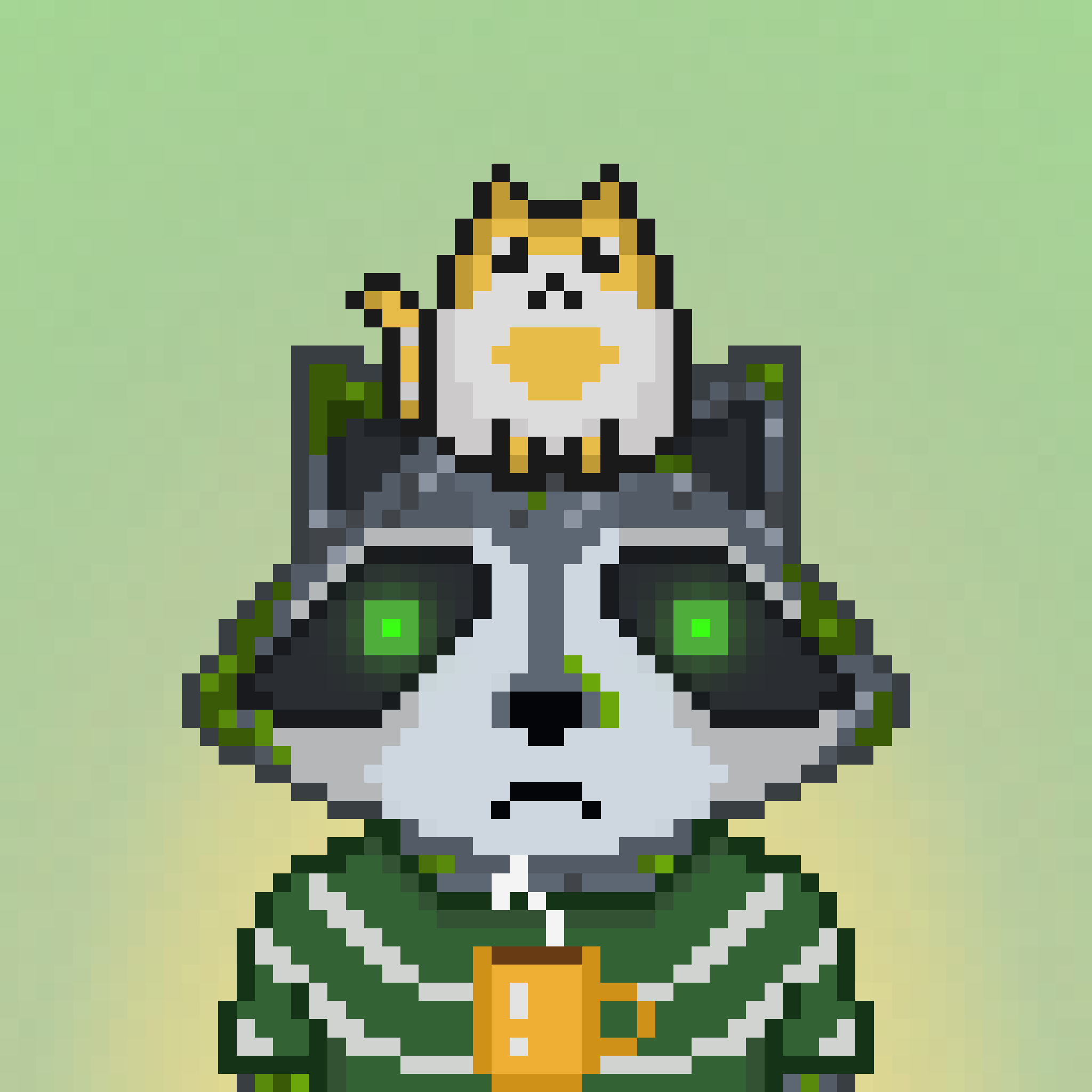 Pixel Raccoon #262 NFT on Algorand