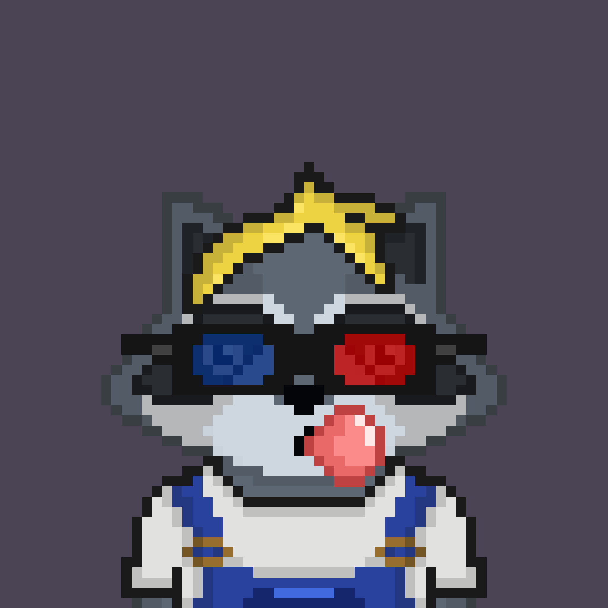 Pixel Raccoon #265 NFT on Algorand