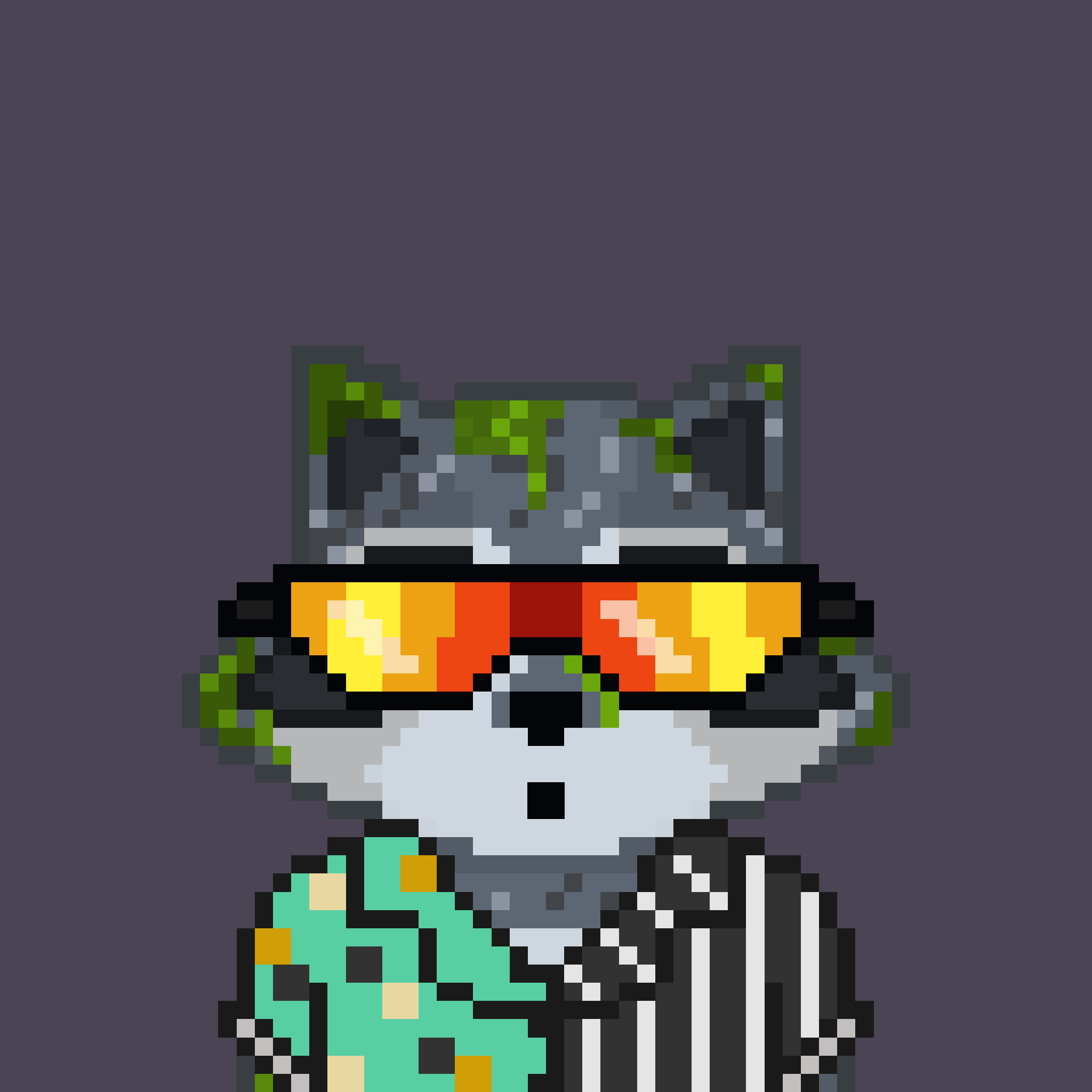 Pixel Raccoon #27 NFT on Algorand
