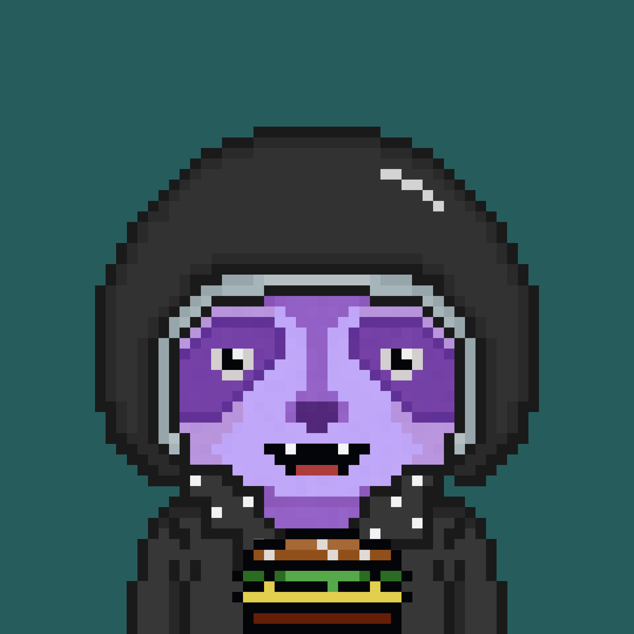 Pixel Raccoon #290 NFT on Algorand