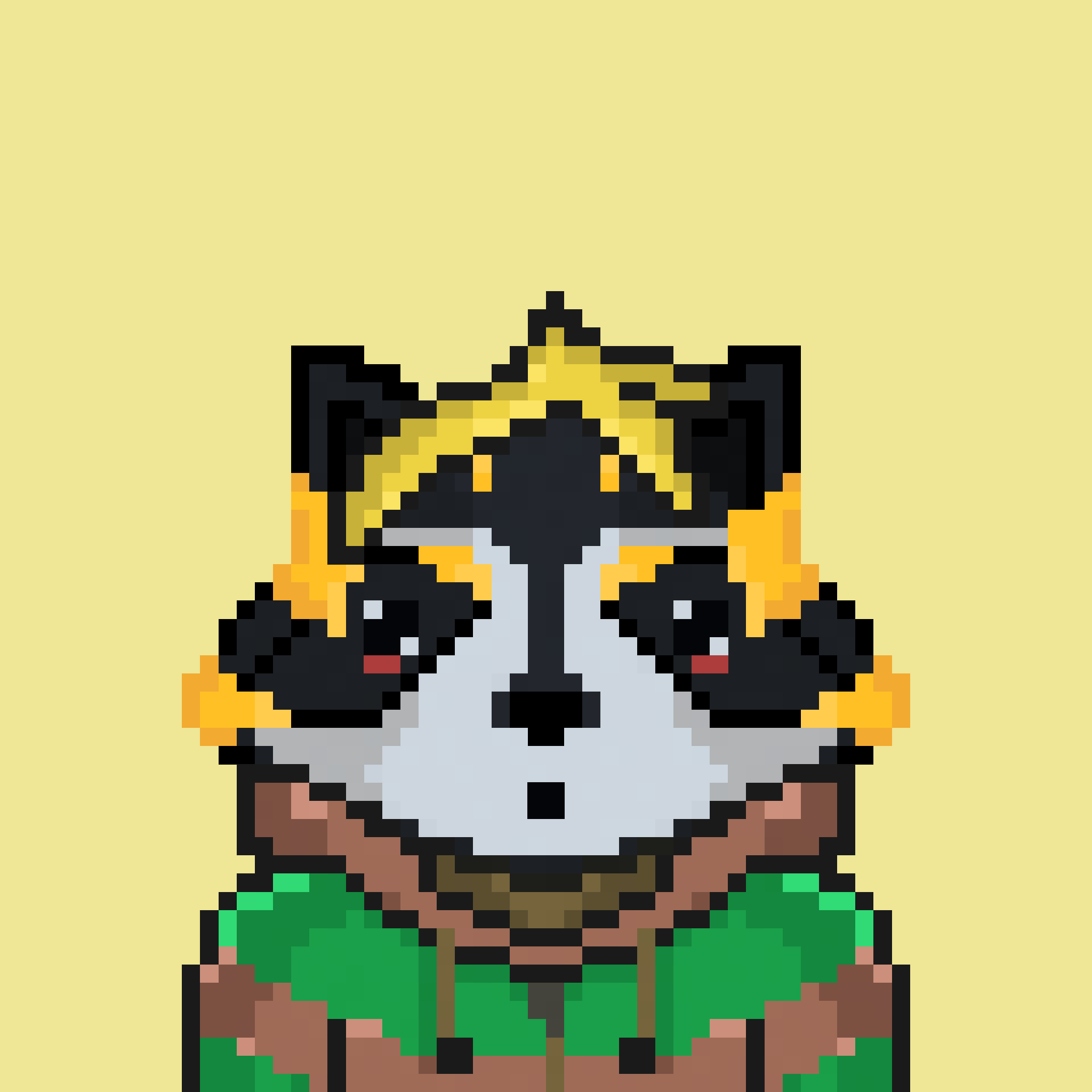 Pixel Raccoon #31 NFT on Algorand