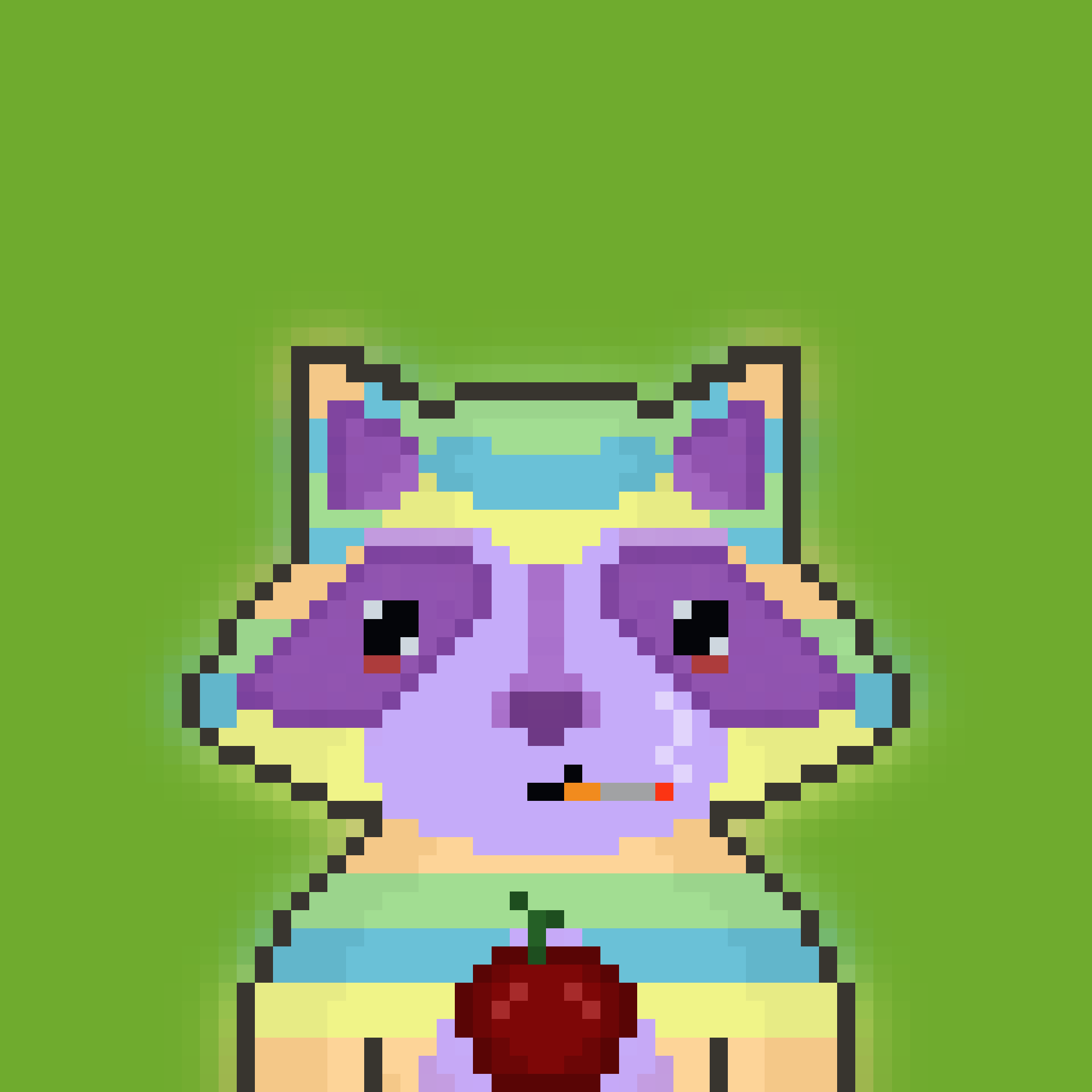 Pixel Raccoon #312 NFT on Algorand