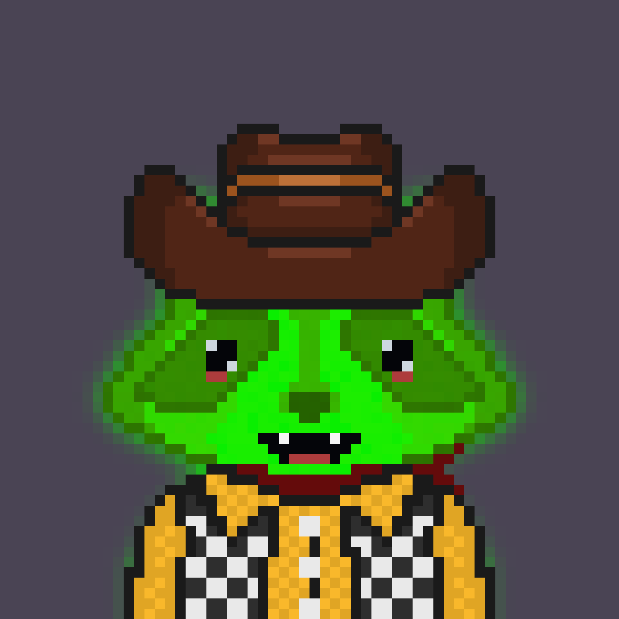 Pixel Raccoon #322 NFT on Algorand