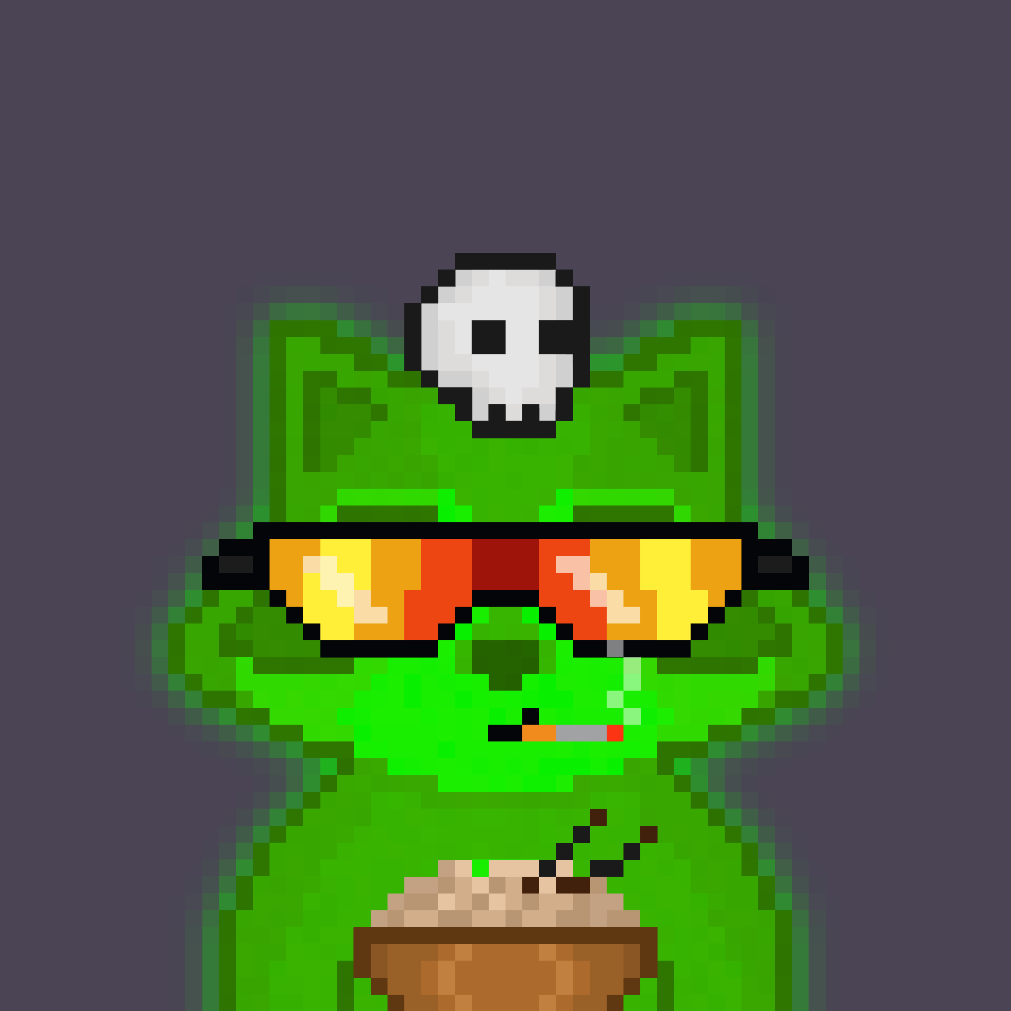 Pixel Raccoon #324 NFT on Algorand