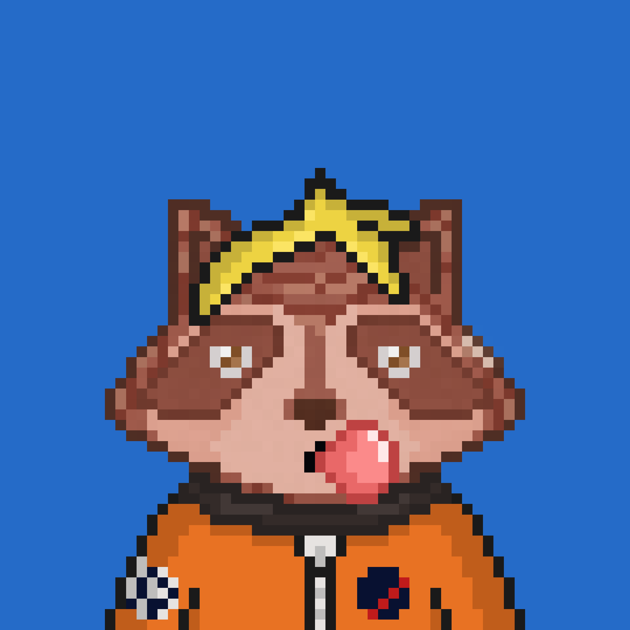 Pixel Raccoon #329 NFT on Algorand