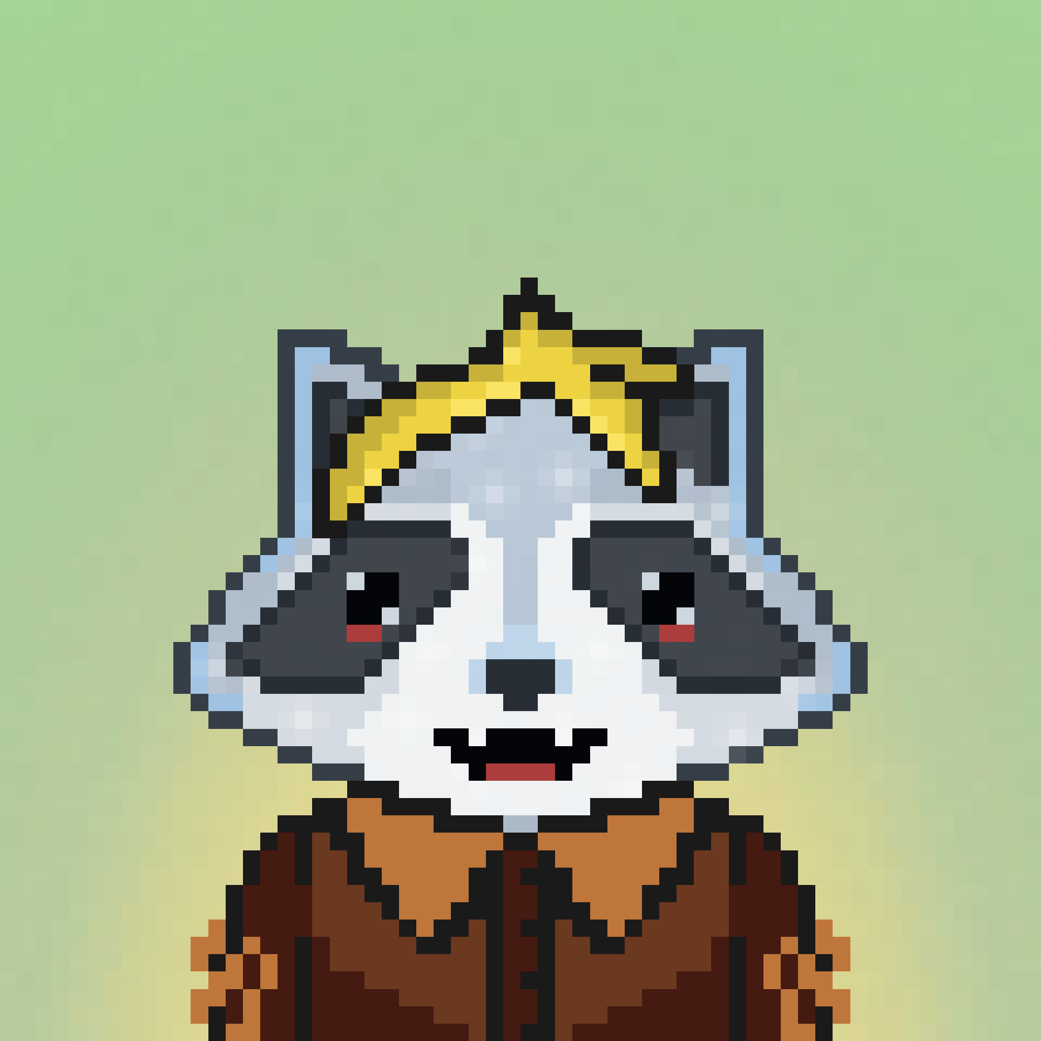 Pixel Raccoon #34 NFT on Algorand