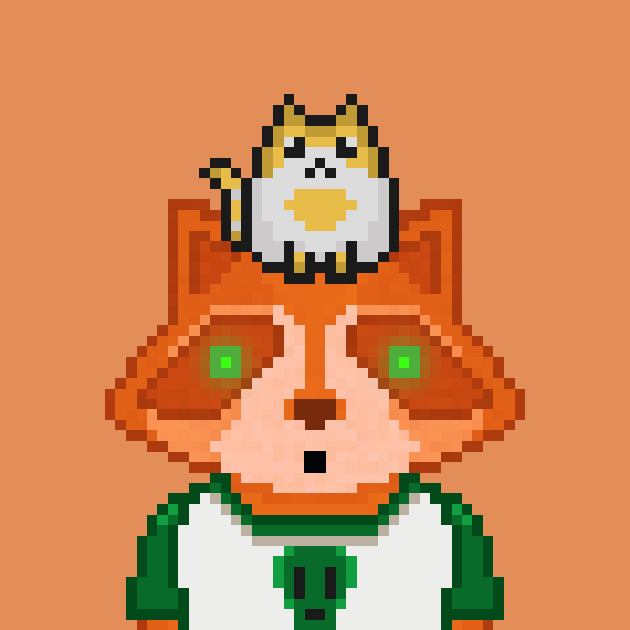 Pixel Raccoon #349 NFT on Algorand