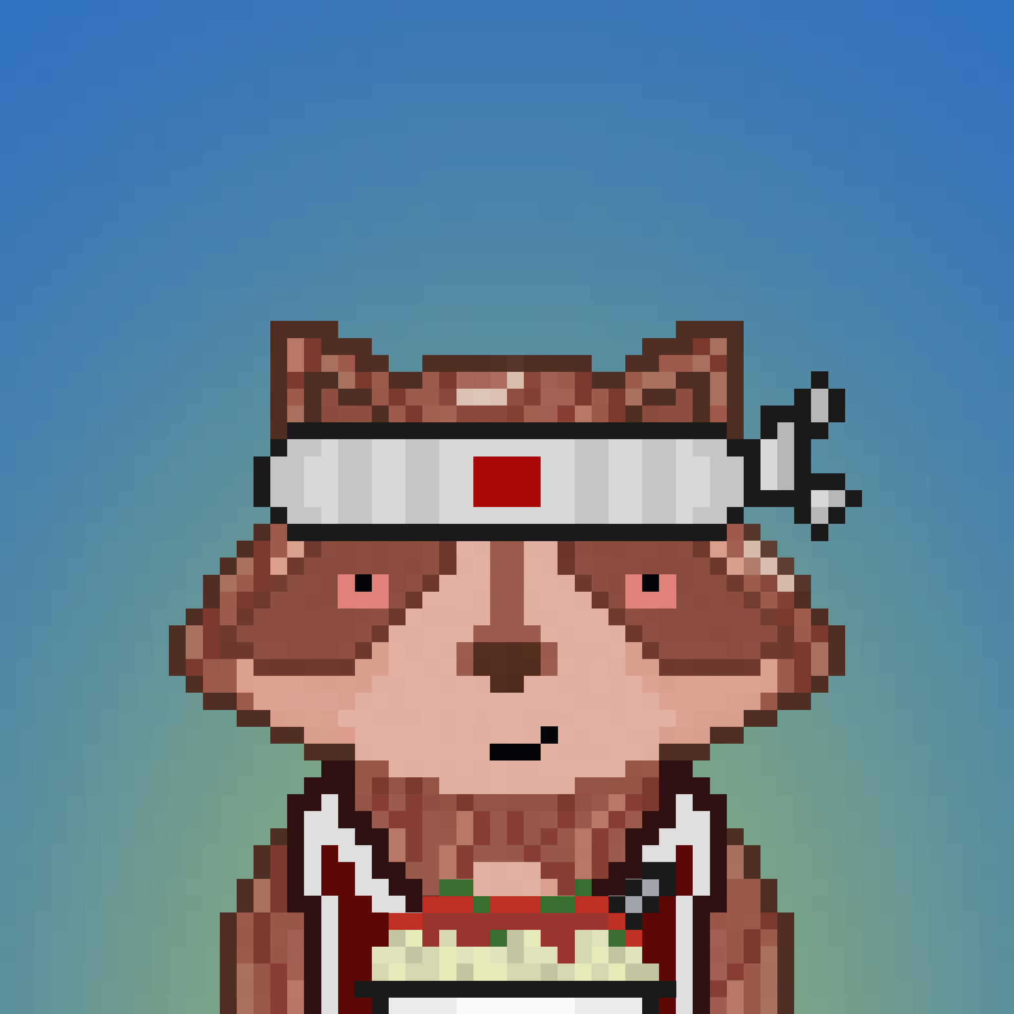 Pixel Raccoon #353 NFT on Algorand