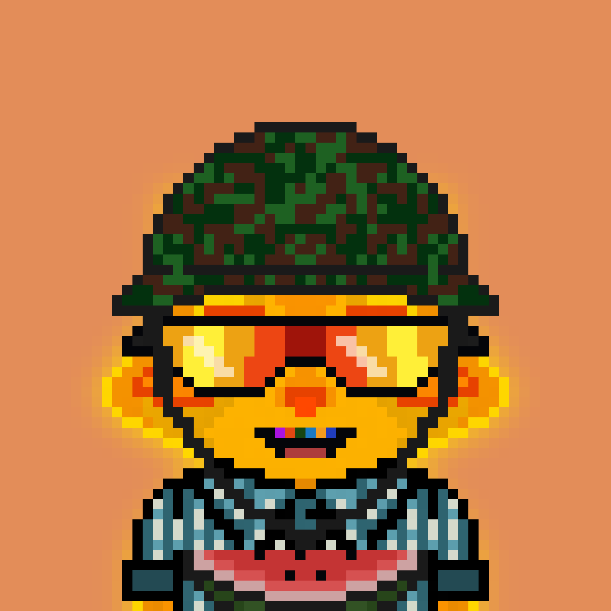 Pixel Raccoon #355 NFT on Algorand