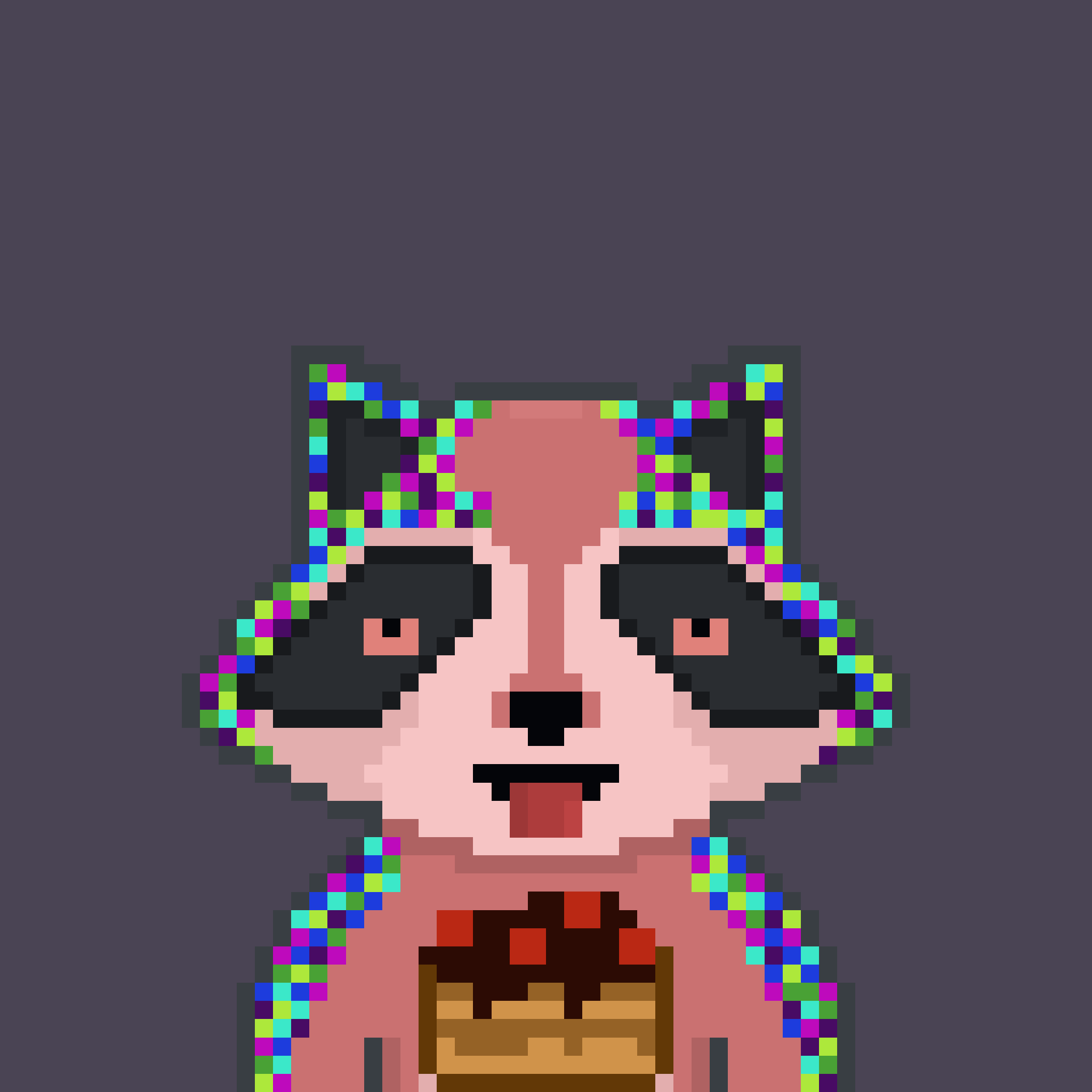 Pixel Raccoon #356 NFT on Algorand