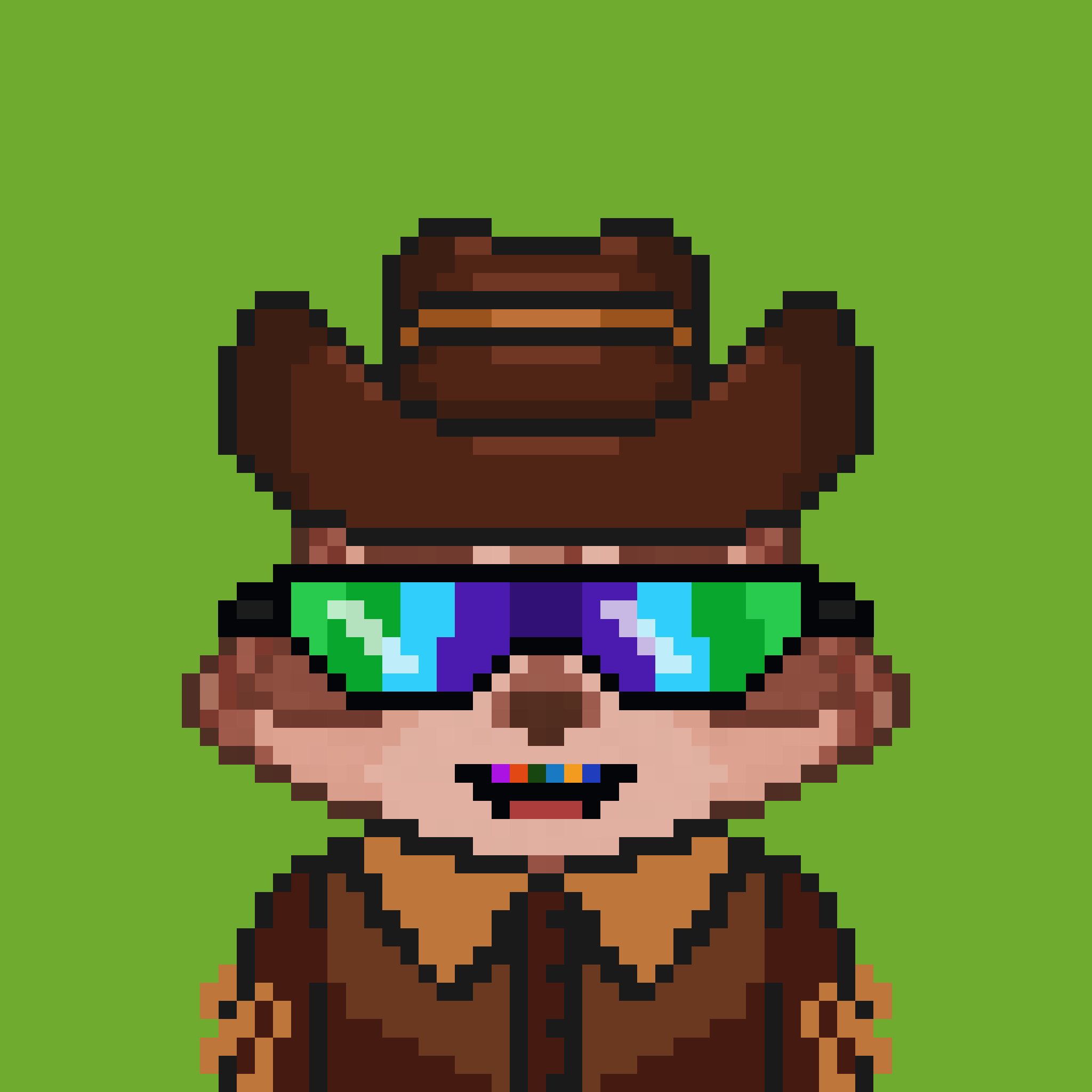 Pixel Raccoon #359 NFT on Algorand