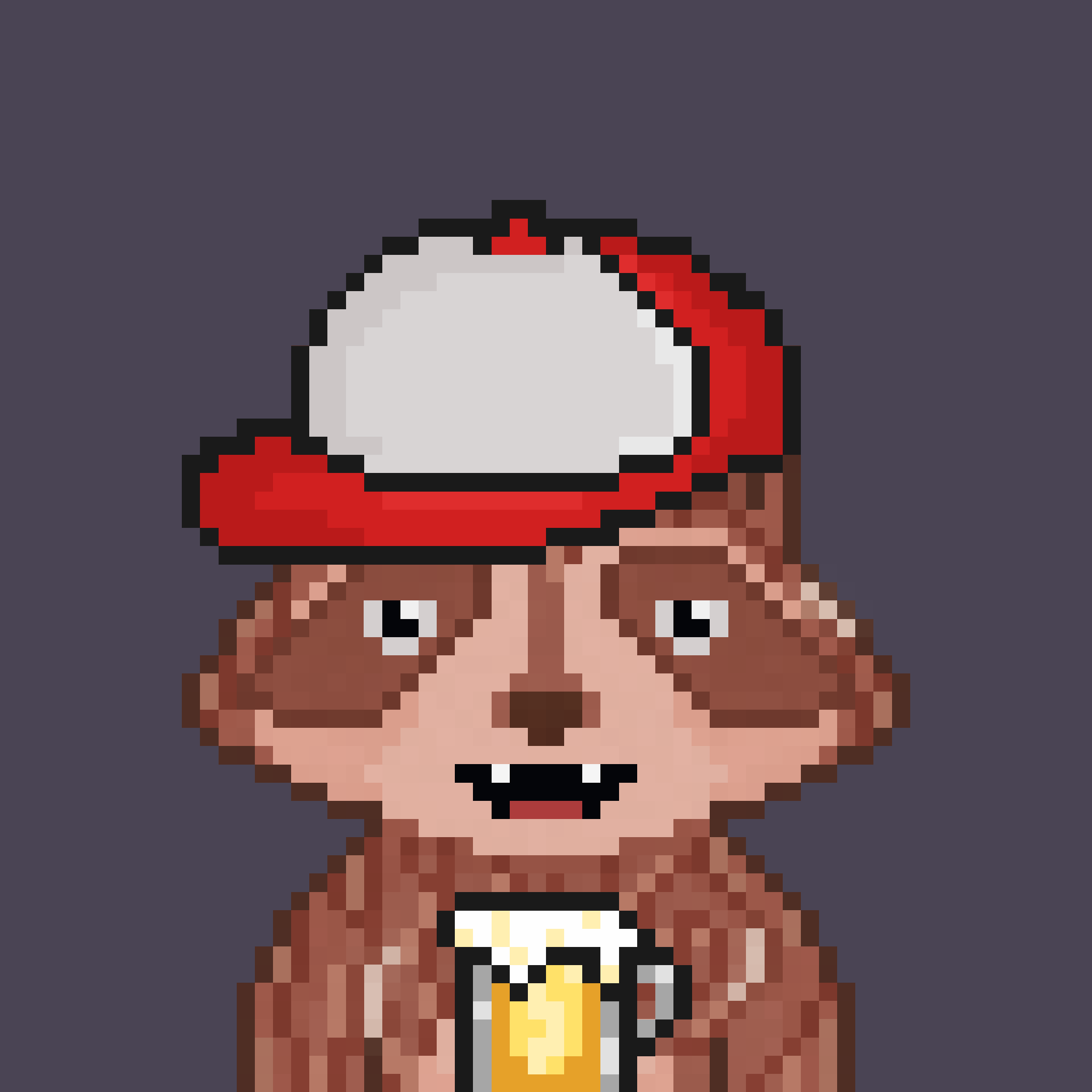 Pixel Raccoon #362 NFT on Algorand