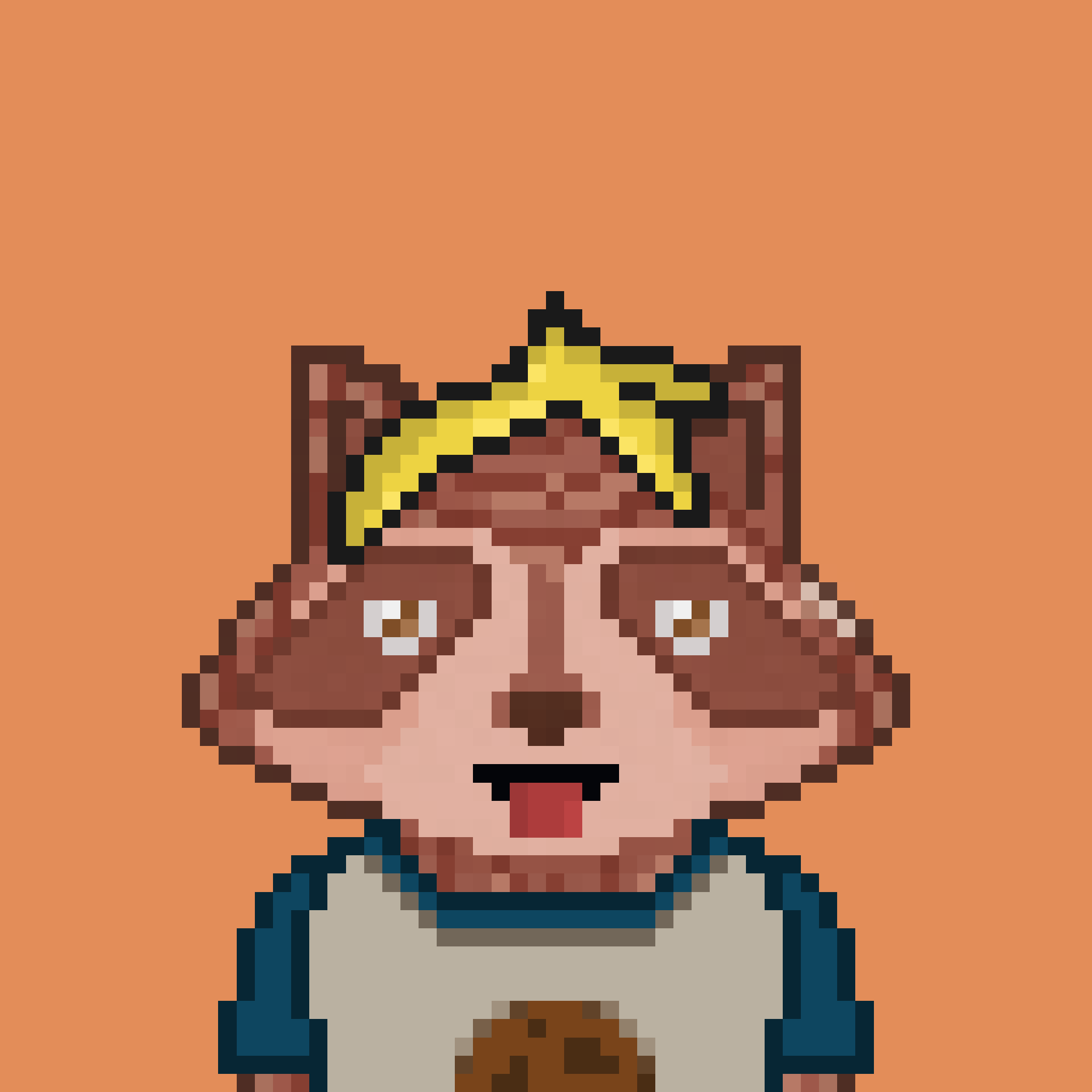 Pixel Raccoon #367 NFT on Algorand