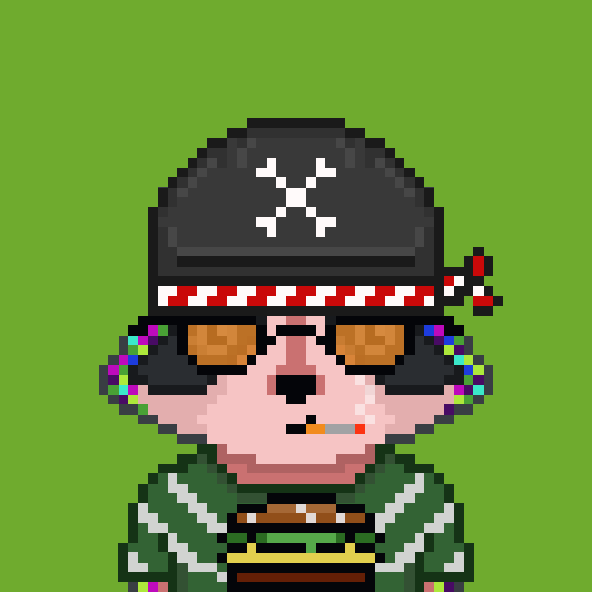 Pixel Raccoon #370 NFT on Algorand