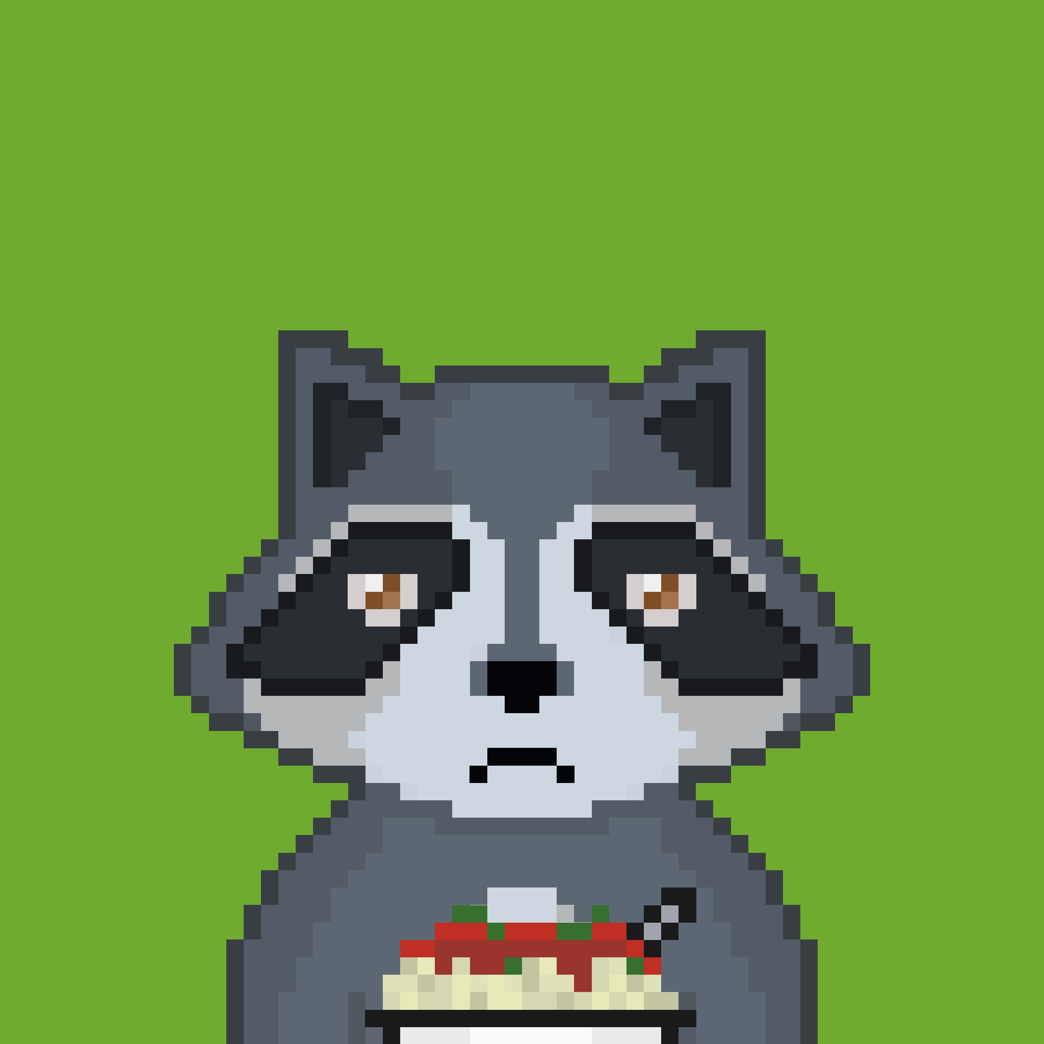 Pixel Raccoon #373 NFT on Algorand